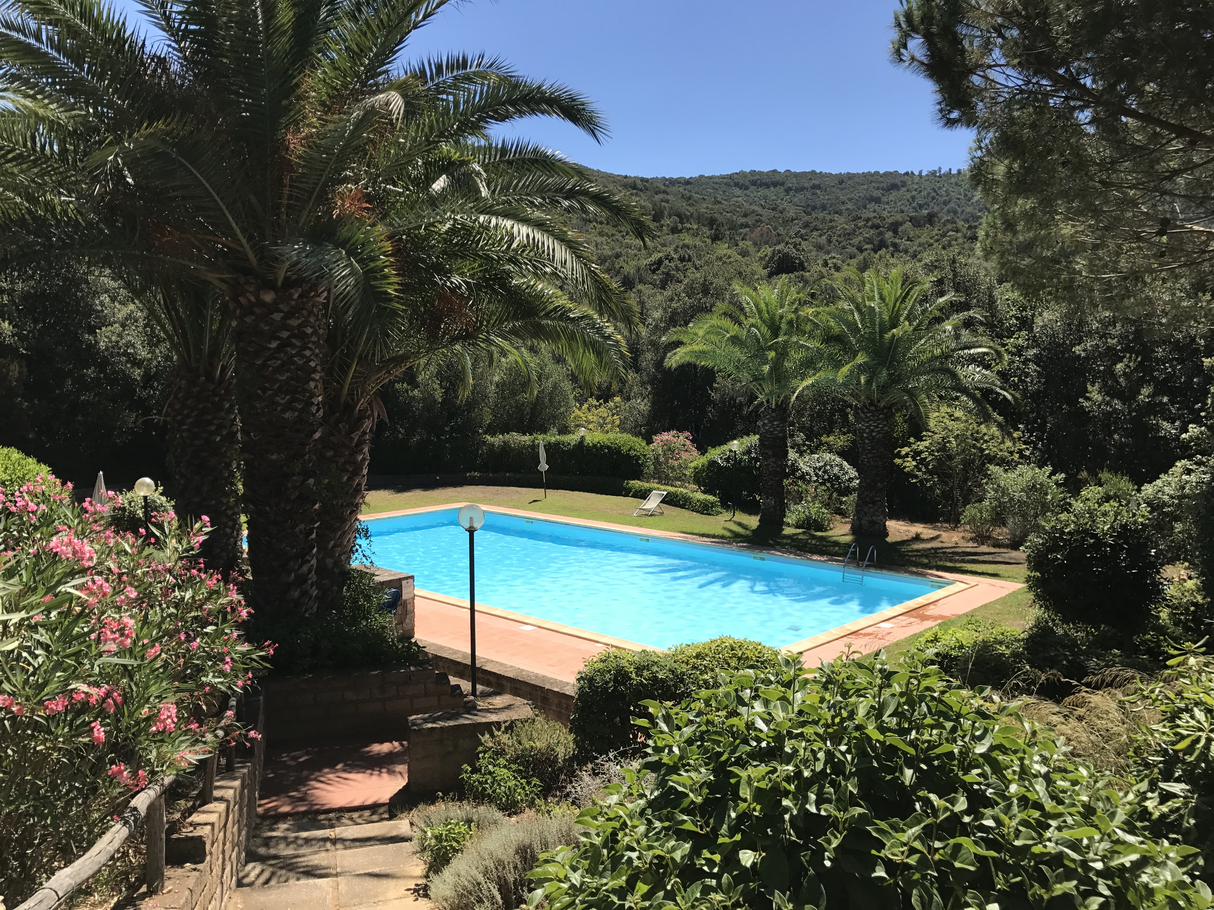 Lovely two-room apartment with swimming pool, a dreamy corner