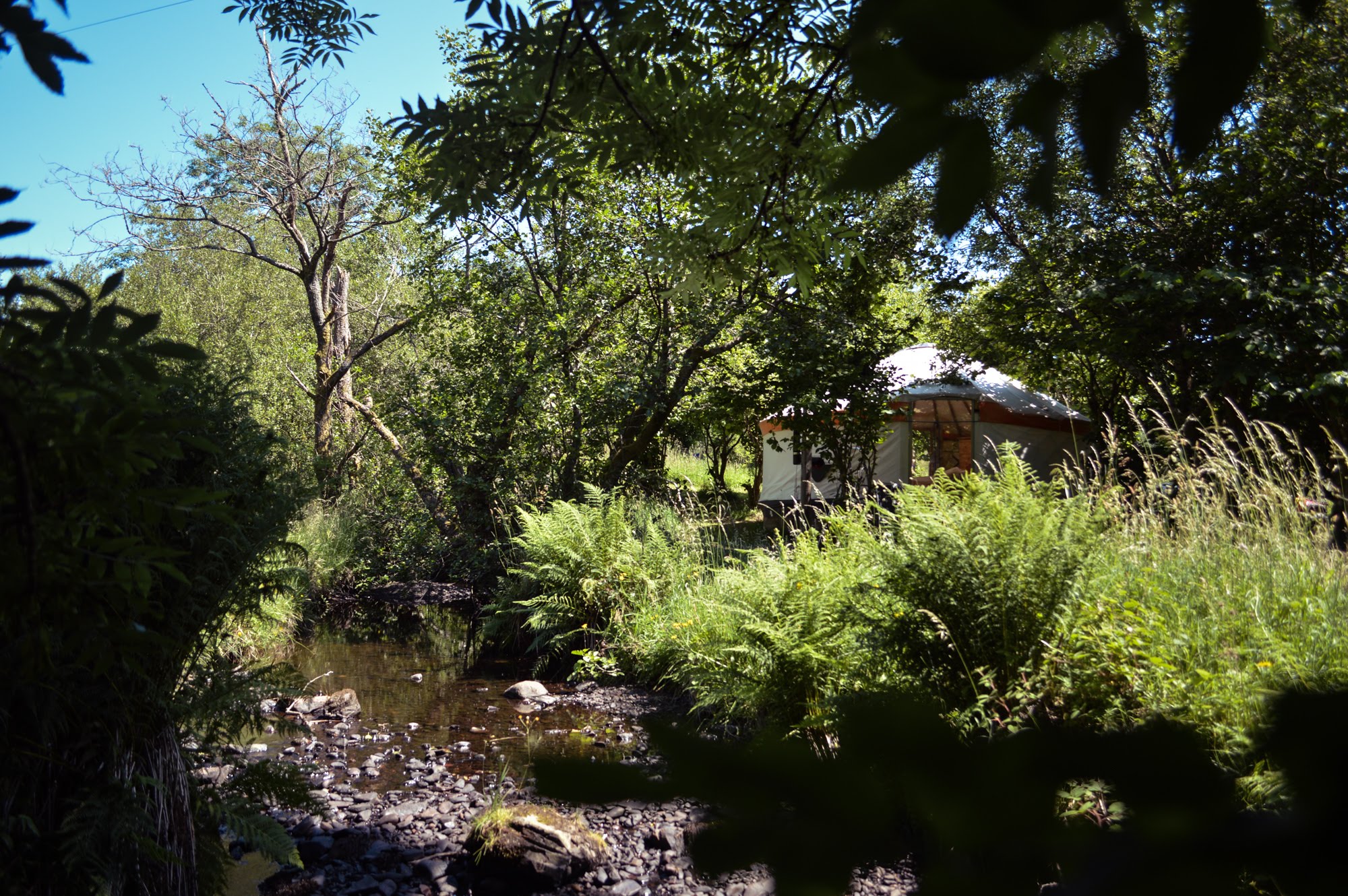 Hazelnut Yurt, two miles from Loch Ken, Galloway Yurts for Rent in Parton, Scotland, United
