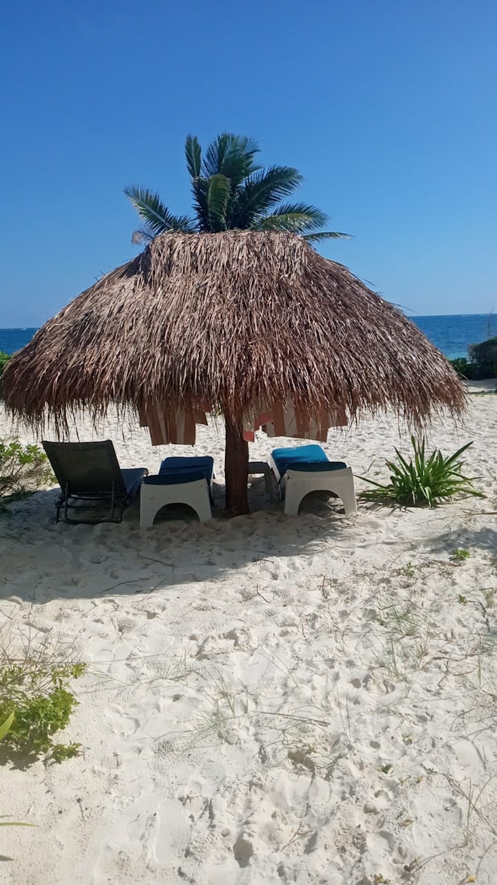 Beachfront hidden gem in paradise!