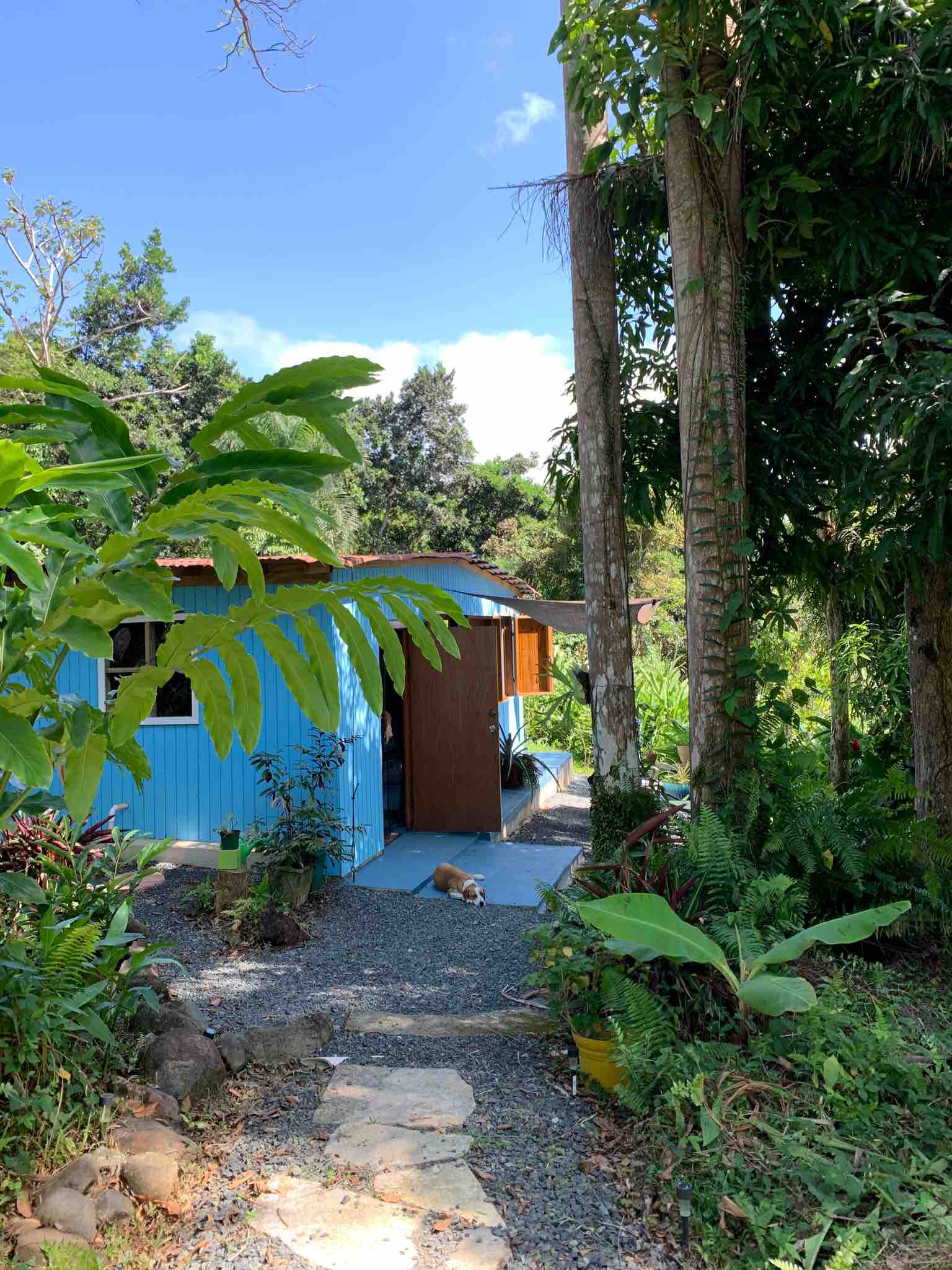 The Sugar Shack a unique cabin in the Rainforest Cottages for Rent in