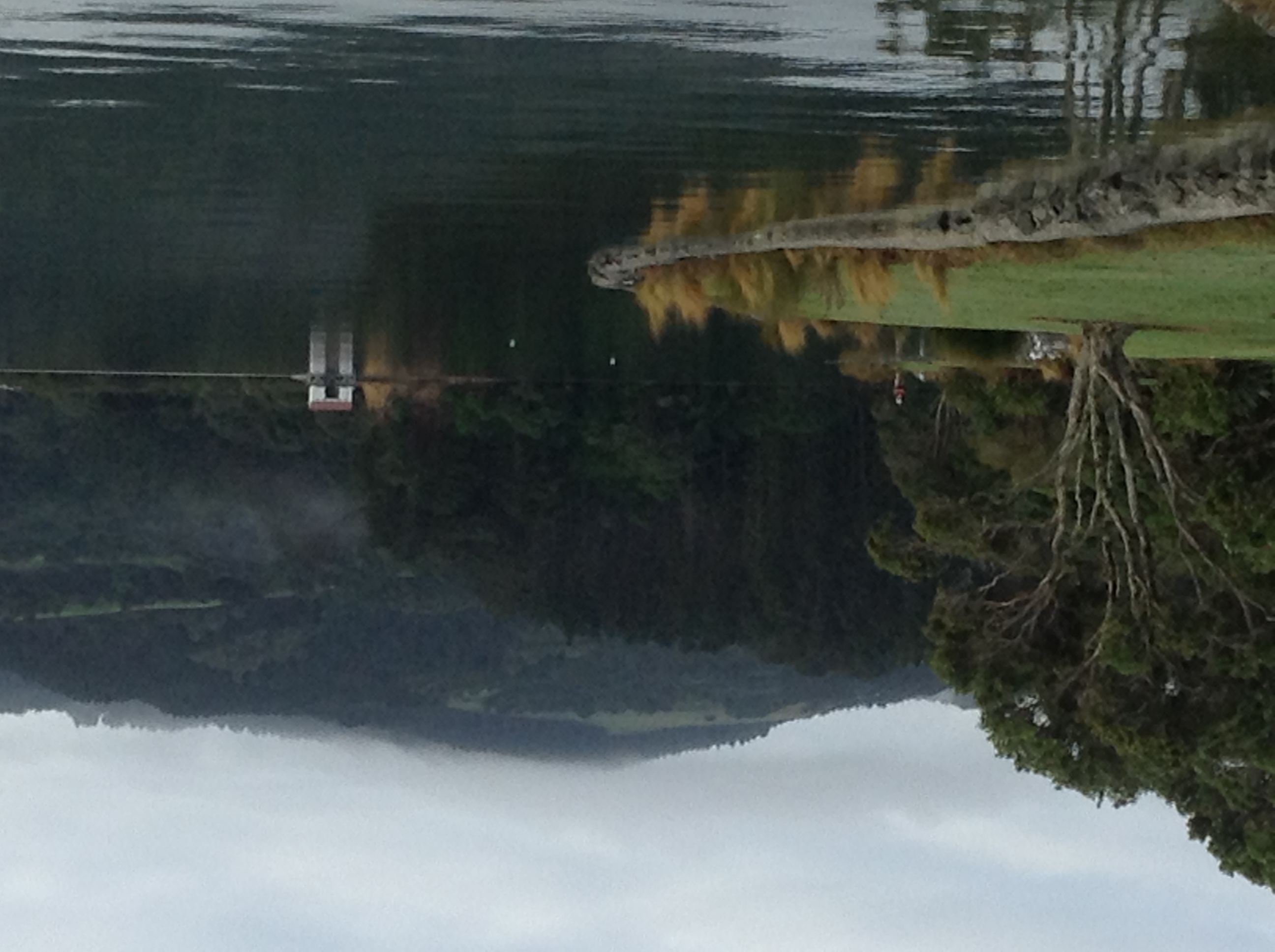 Point Wells Special Oasis Houses for Rent in Point Wells, Auckland