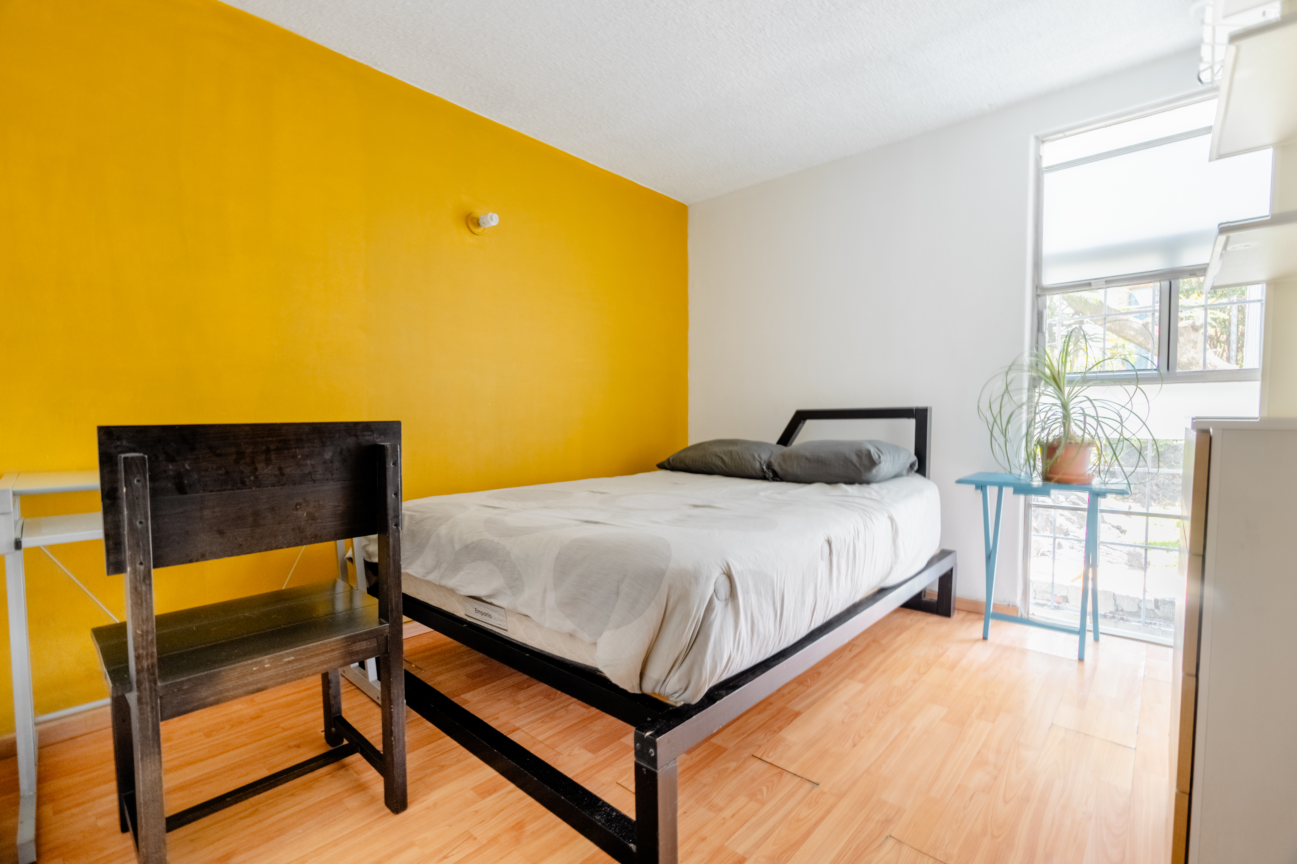 Habitación al sur de la ciudad in Coyoacán, Mexico City