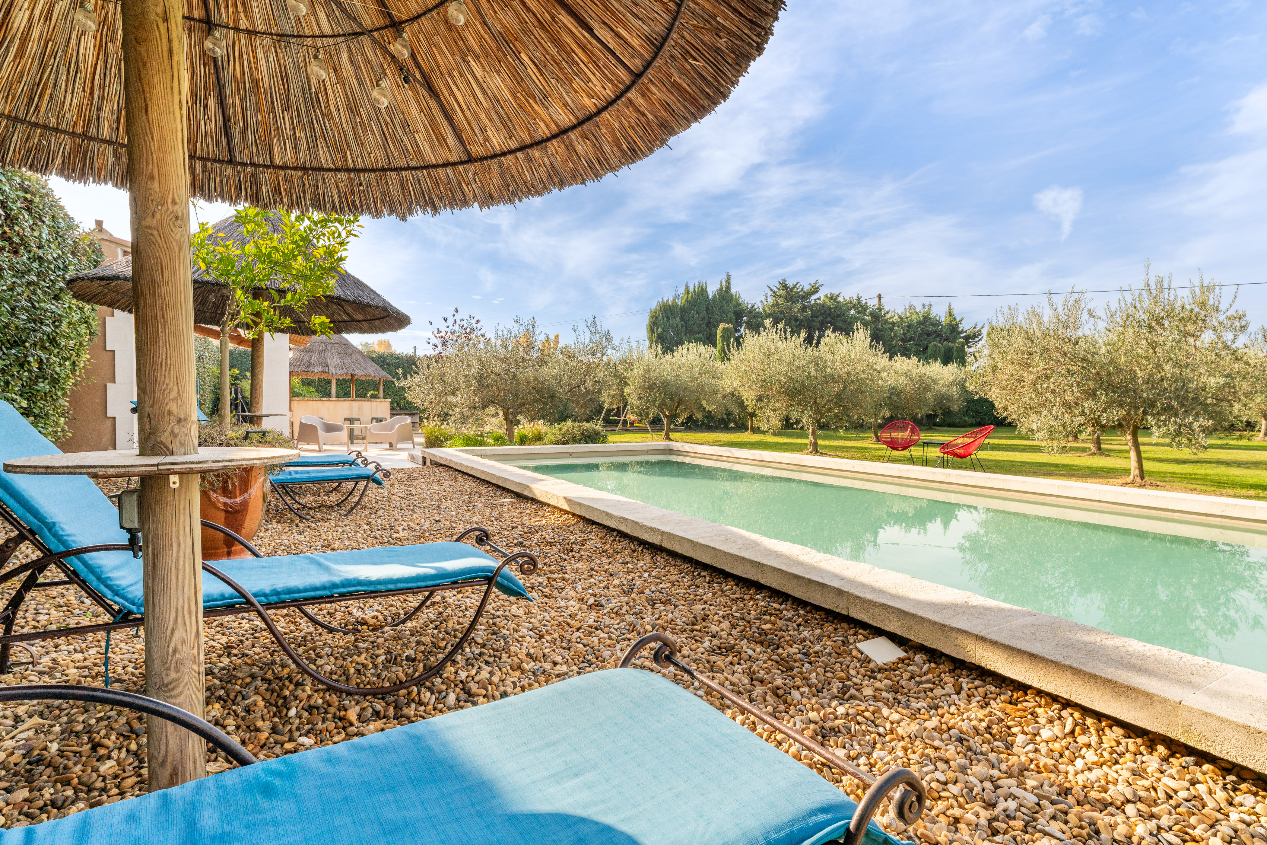 Beautiful house in the middle of olive trees