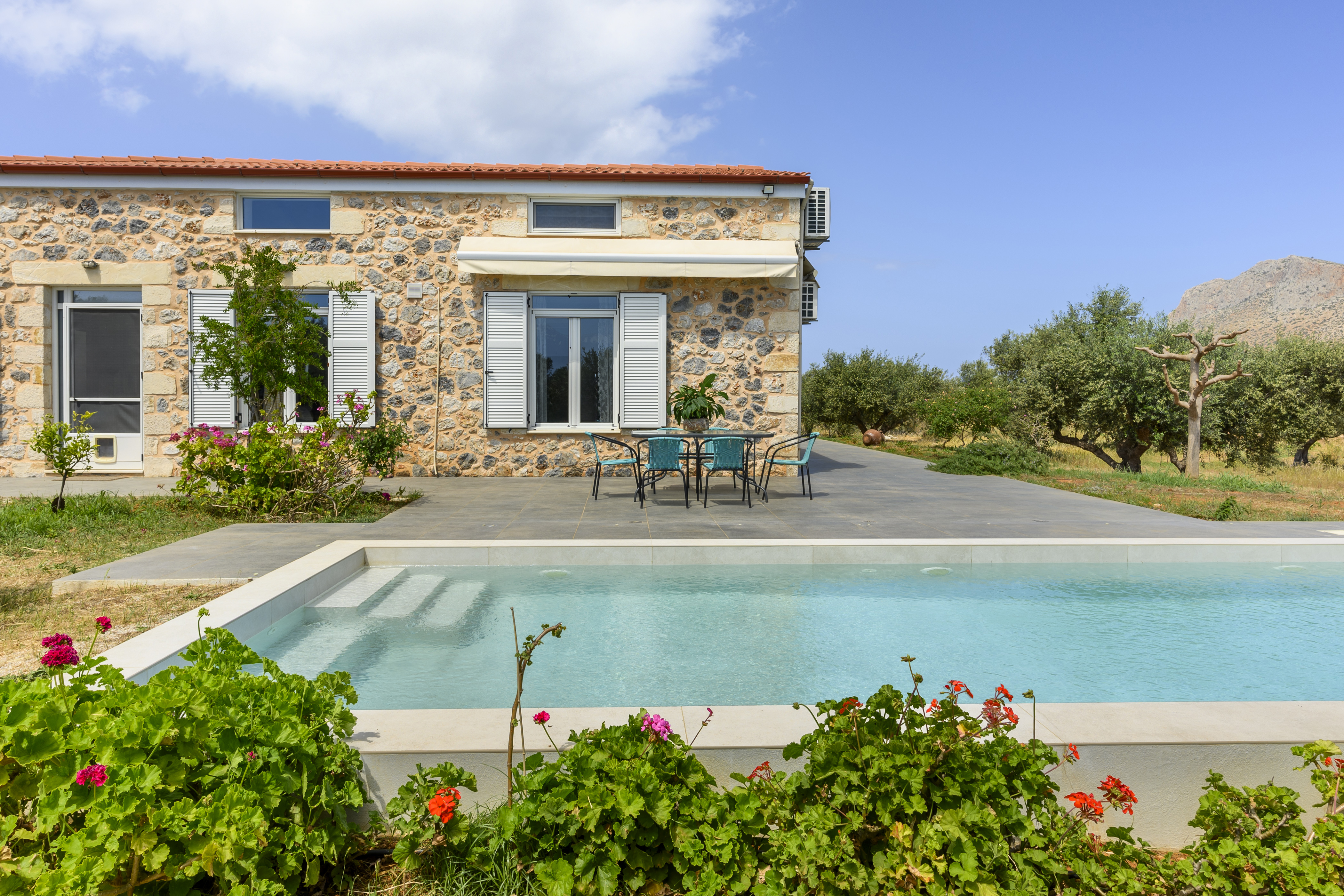 Olive trees garden house