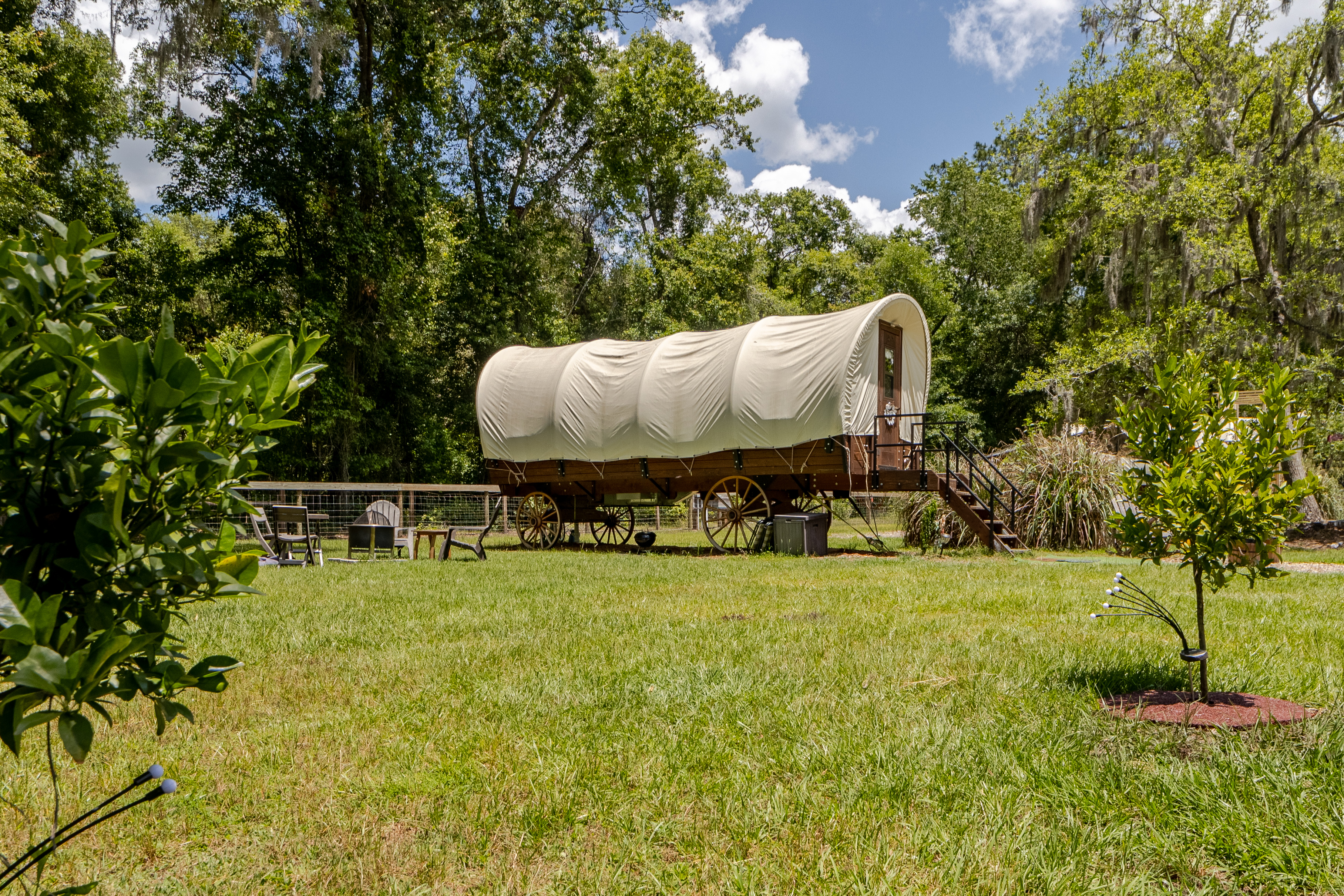 Covered Wagon Animal Exp. for 2 Unique & Comfy