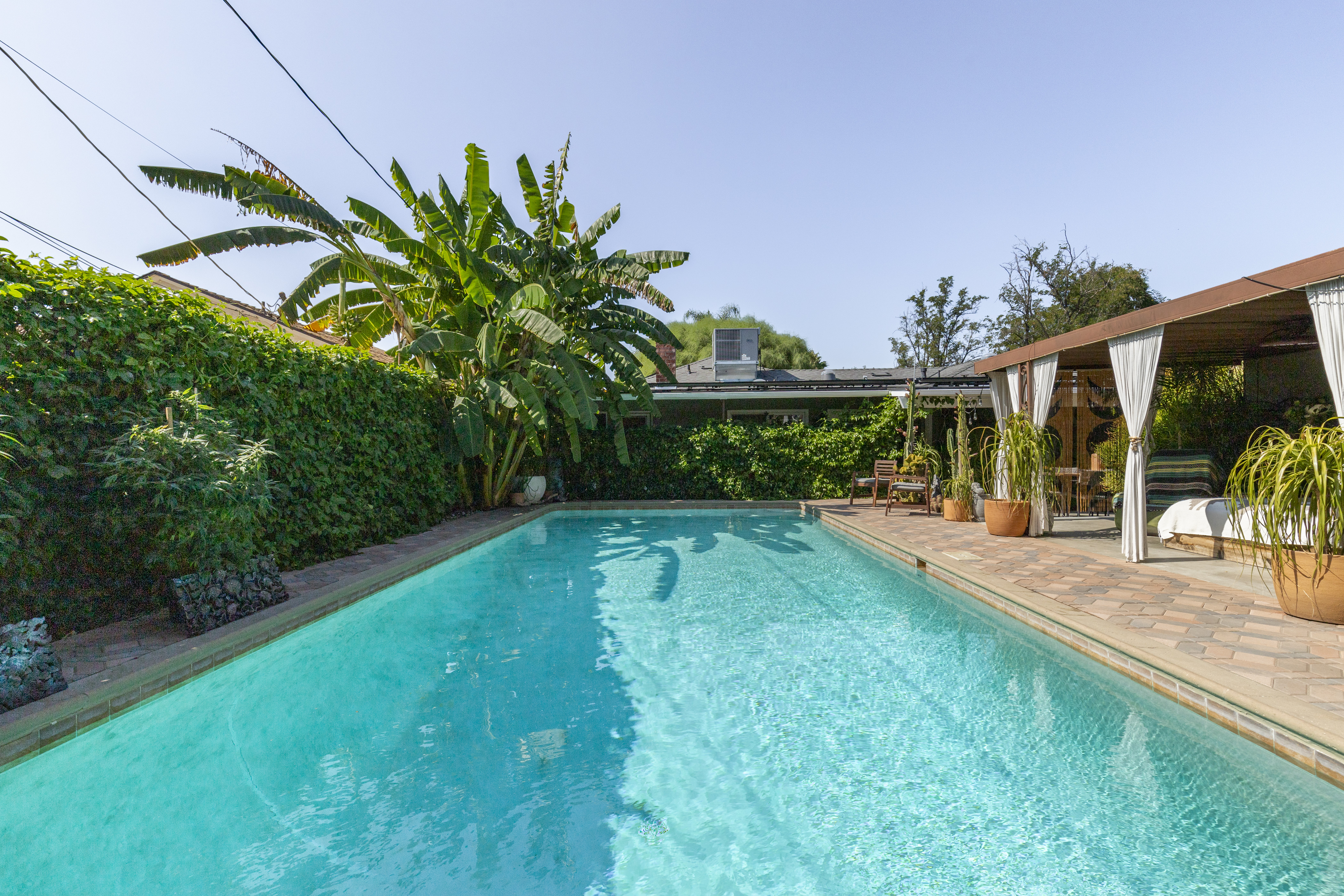 Plant Lover's Paradise: Jacuzzi/Pool, 420 Welcome