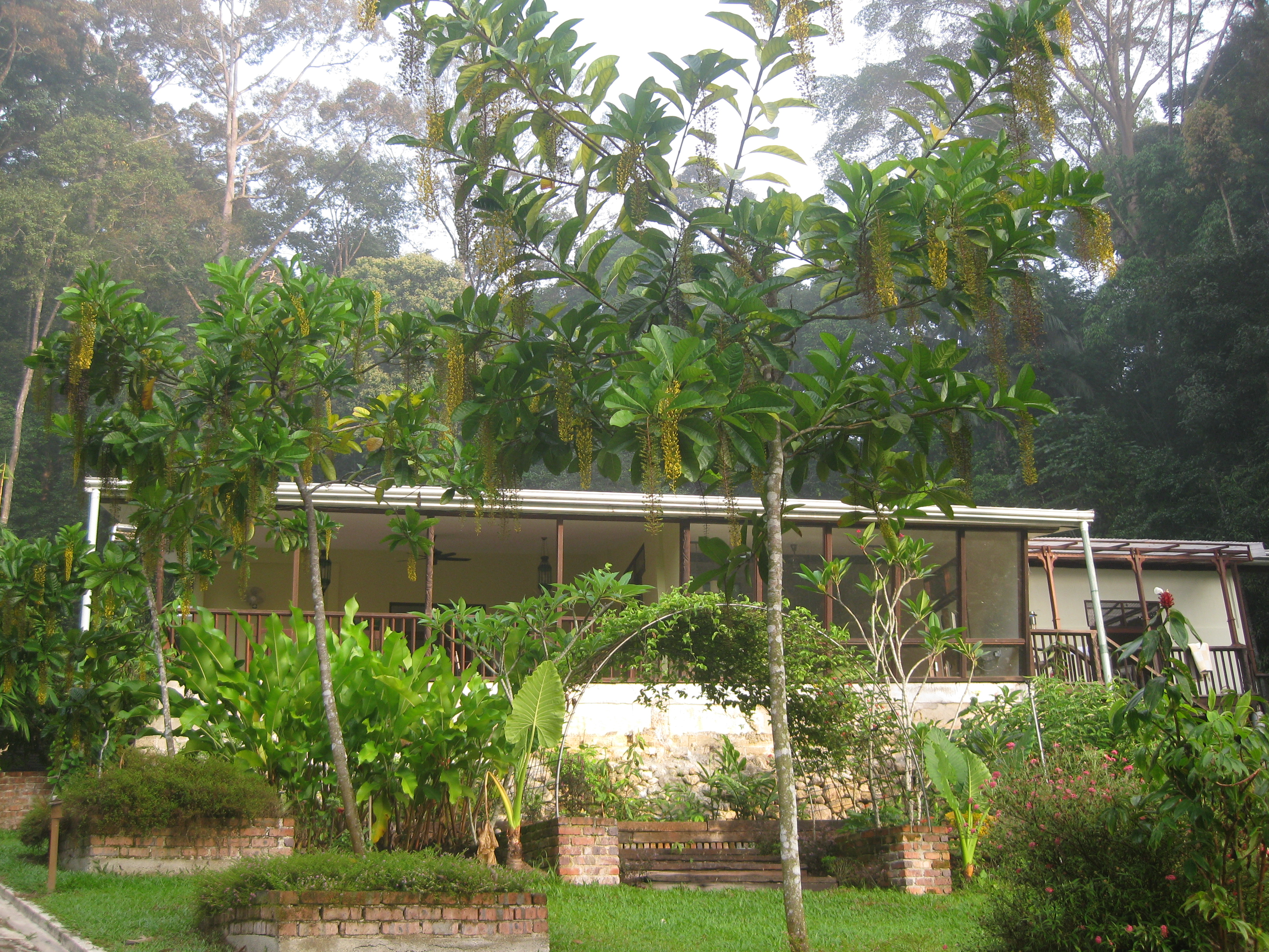 Far Far Away Villas For Rent In Hulu Langat Selangor Malaysia