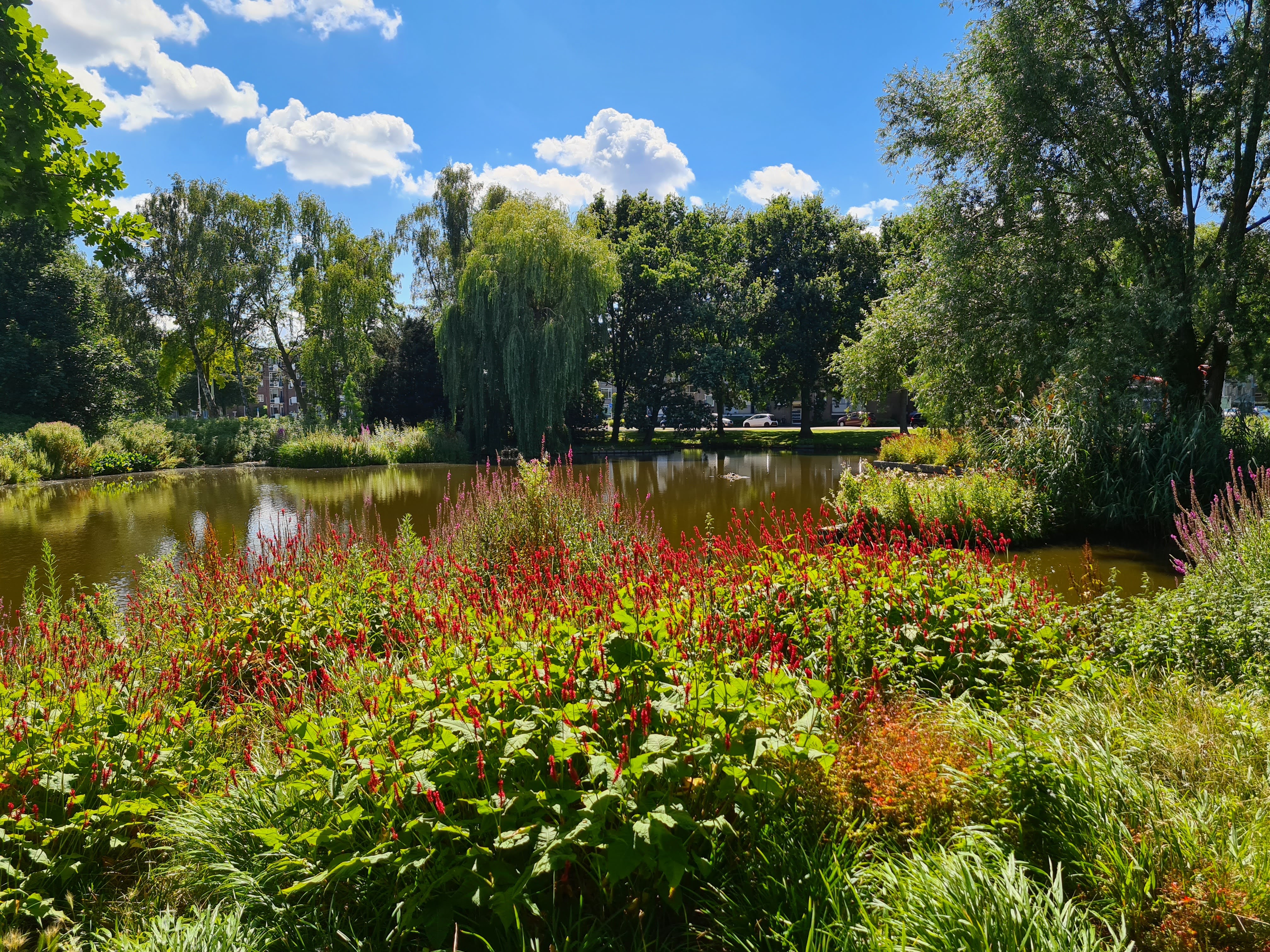 Apartment near a park close to The Hague & Beach.