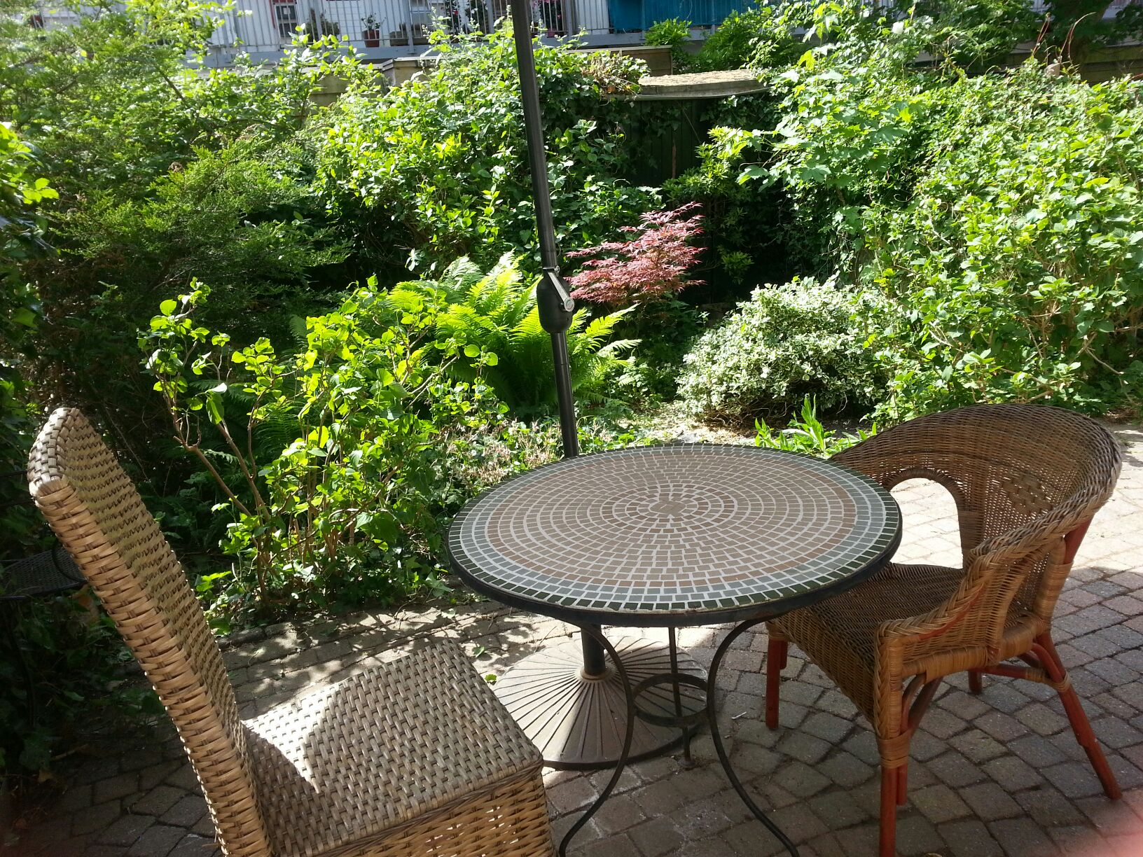 Private Room. Garden Apartment. Old West Amsterdam — Amsterdam stay