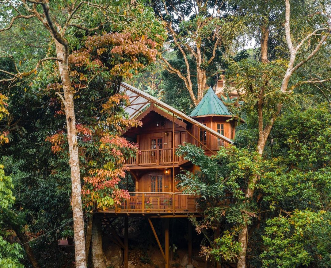 Forestvalley Tree House Treehouses for Rent in Madikeri, Karnataka