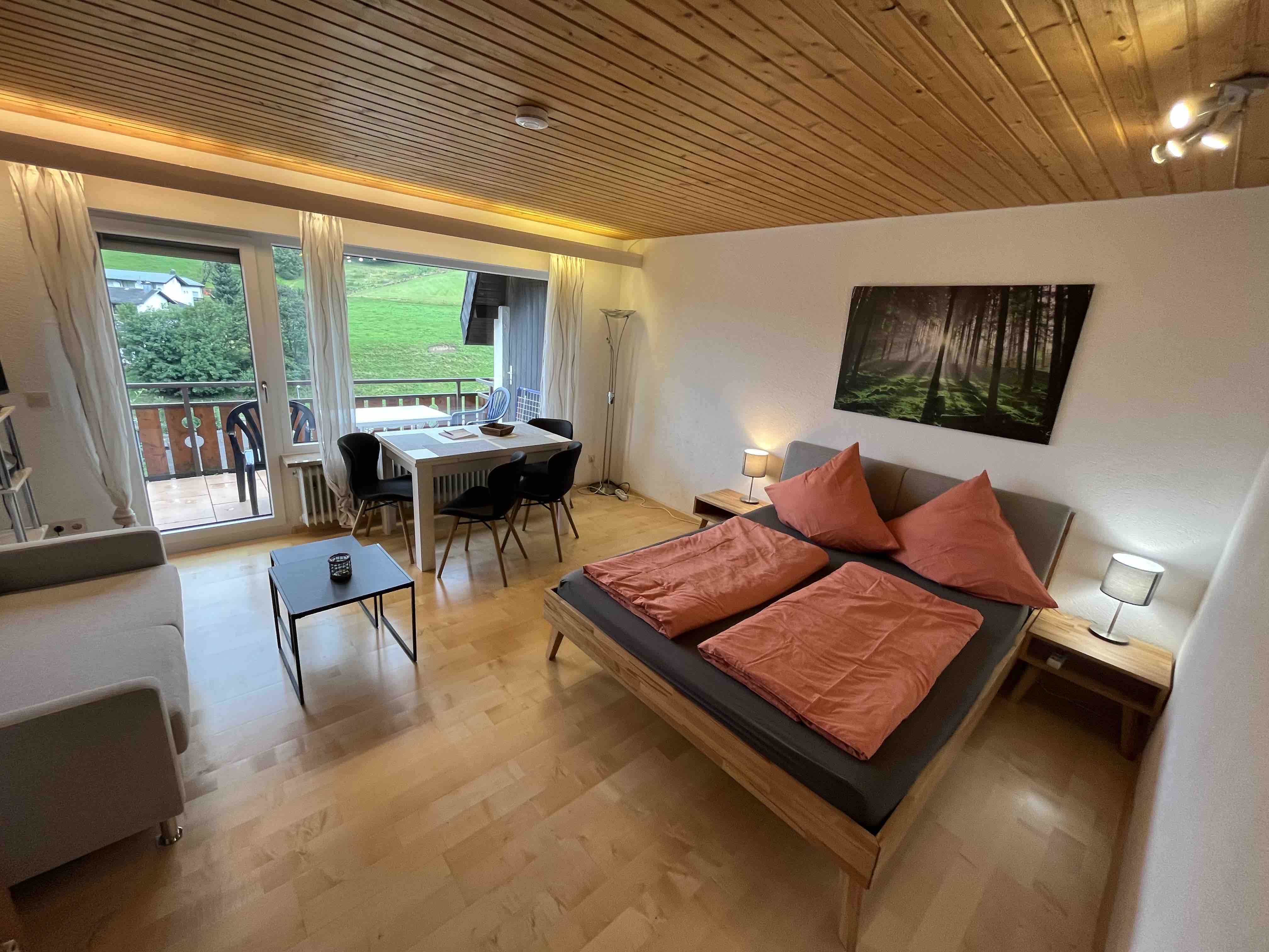 Haus am Sonnenberg Fewo 204 - Todtnauberg