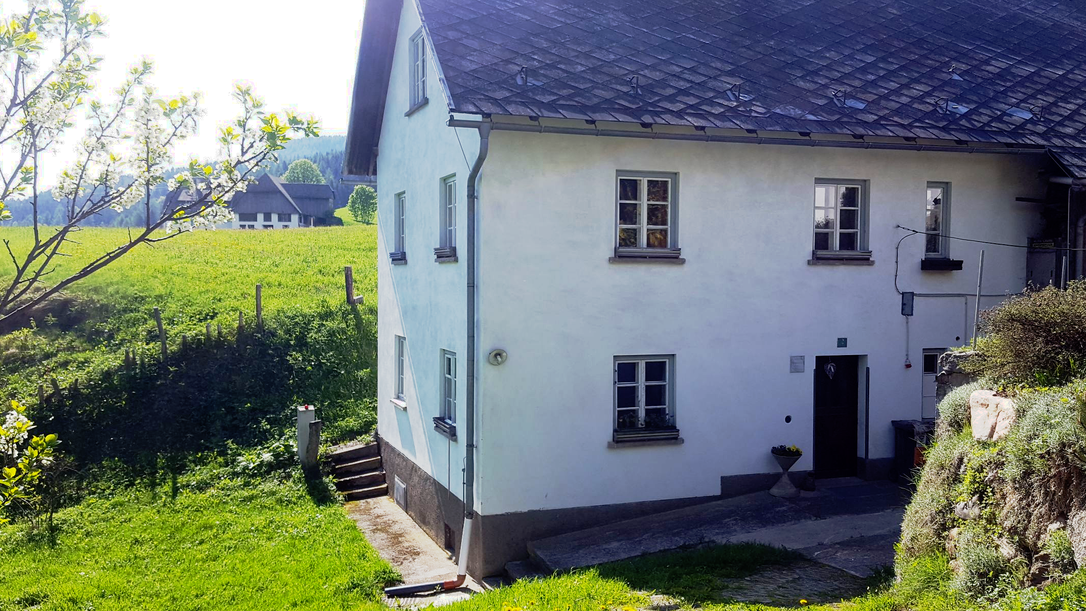 Quiet cottage in the middle of the Krakow