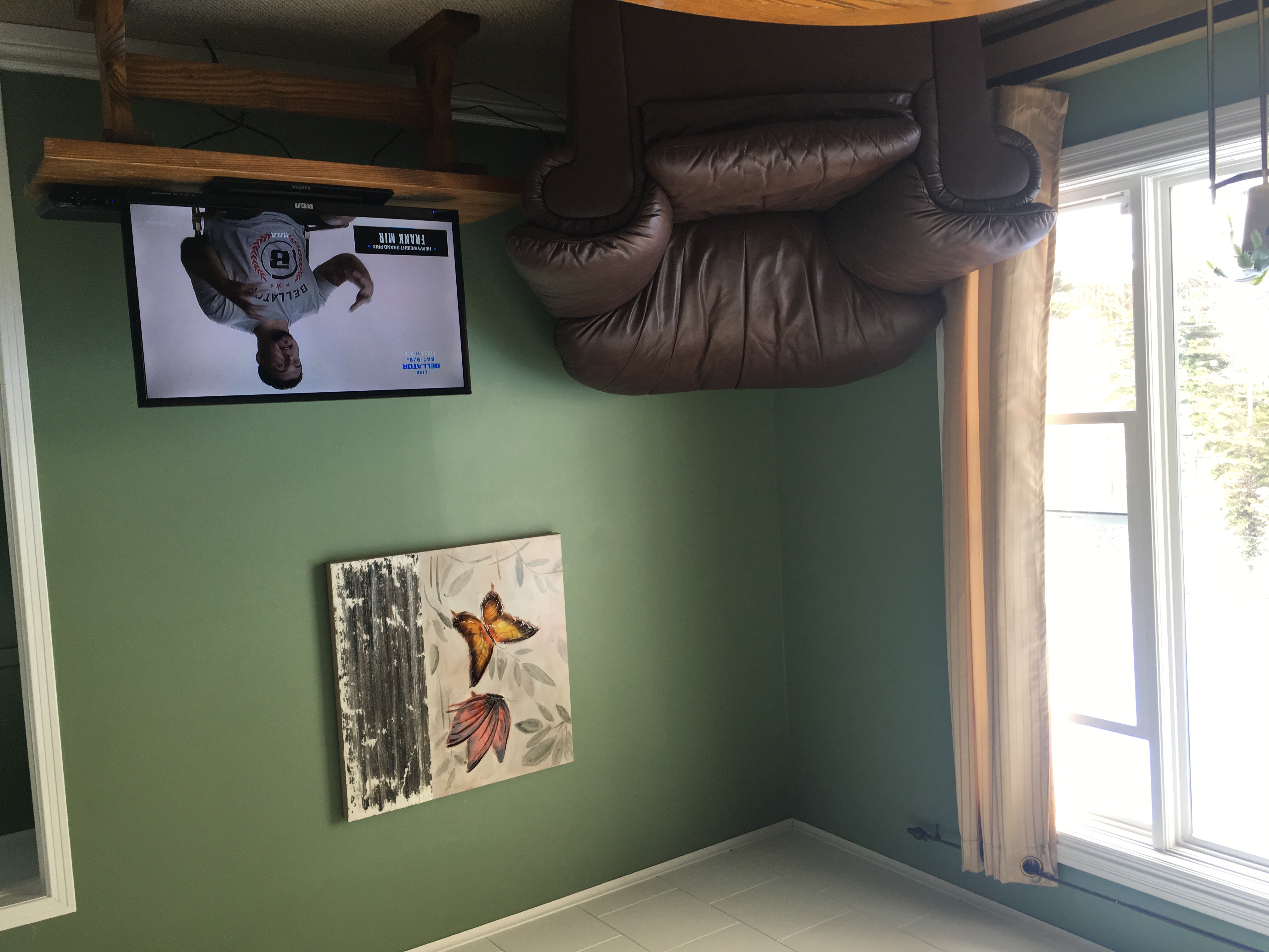  Apartments For Rent In Corner Brook Nl Pet Friendly for Small Space