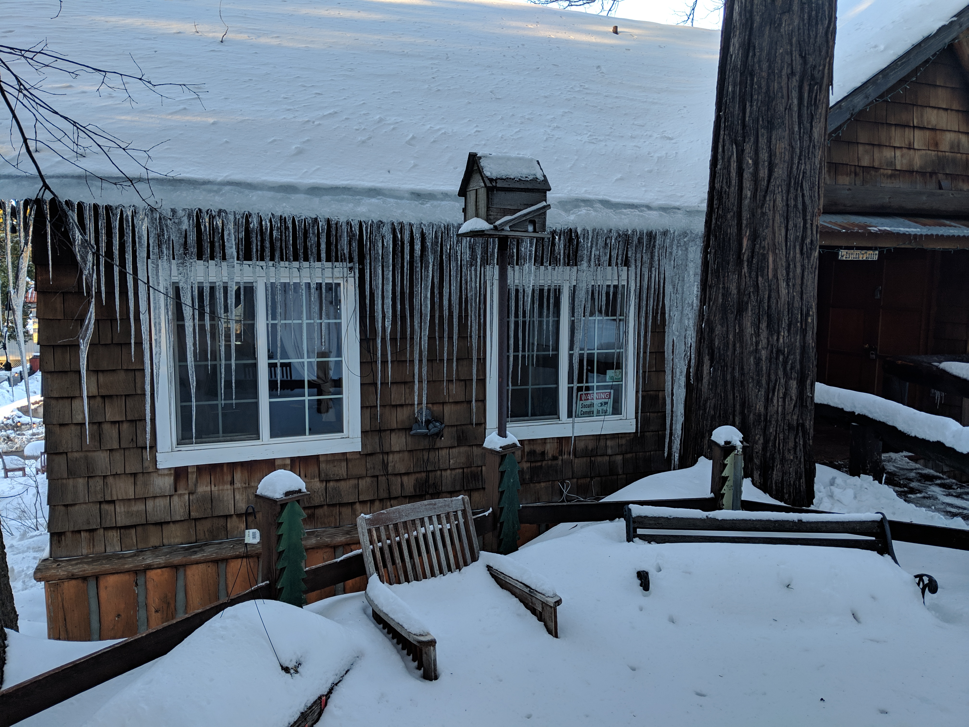 Charming Mountain Cabin Nature Lodges For Rent In Twin Peaks California United States