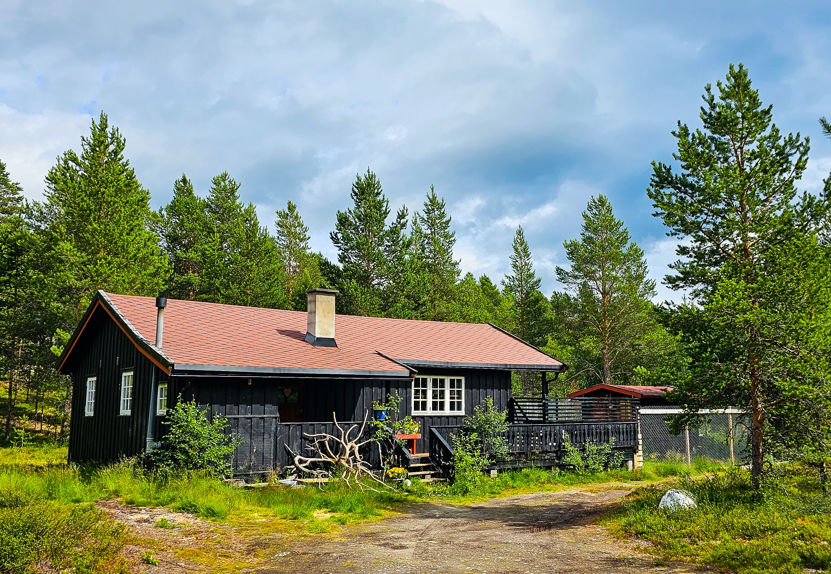 Dog-friendly cabin with walking distance to Røros!