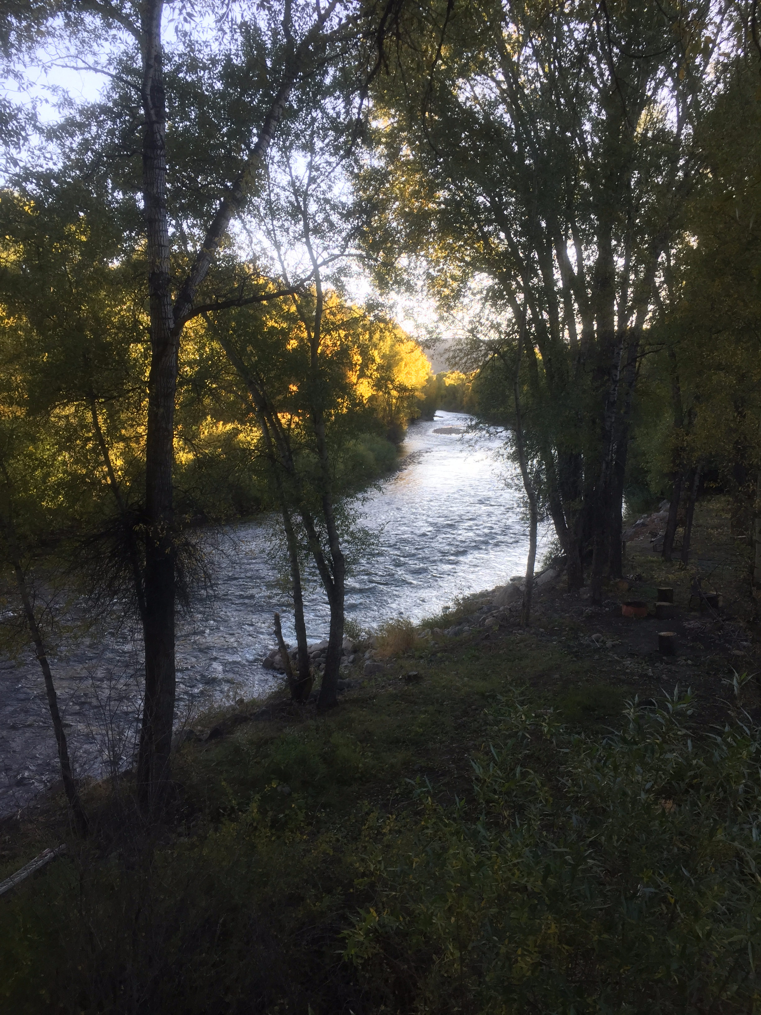 Gunnison Riverside Cabin