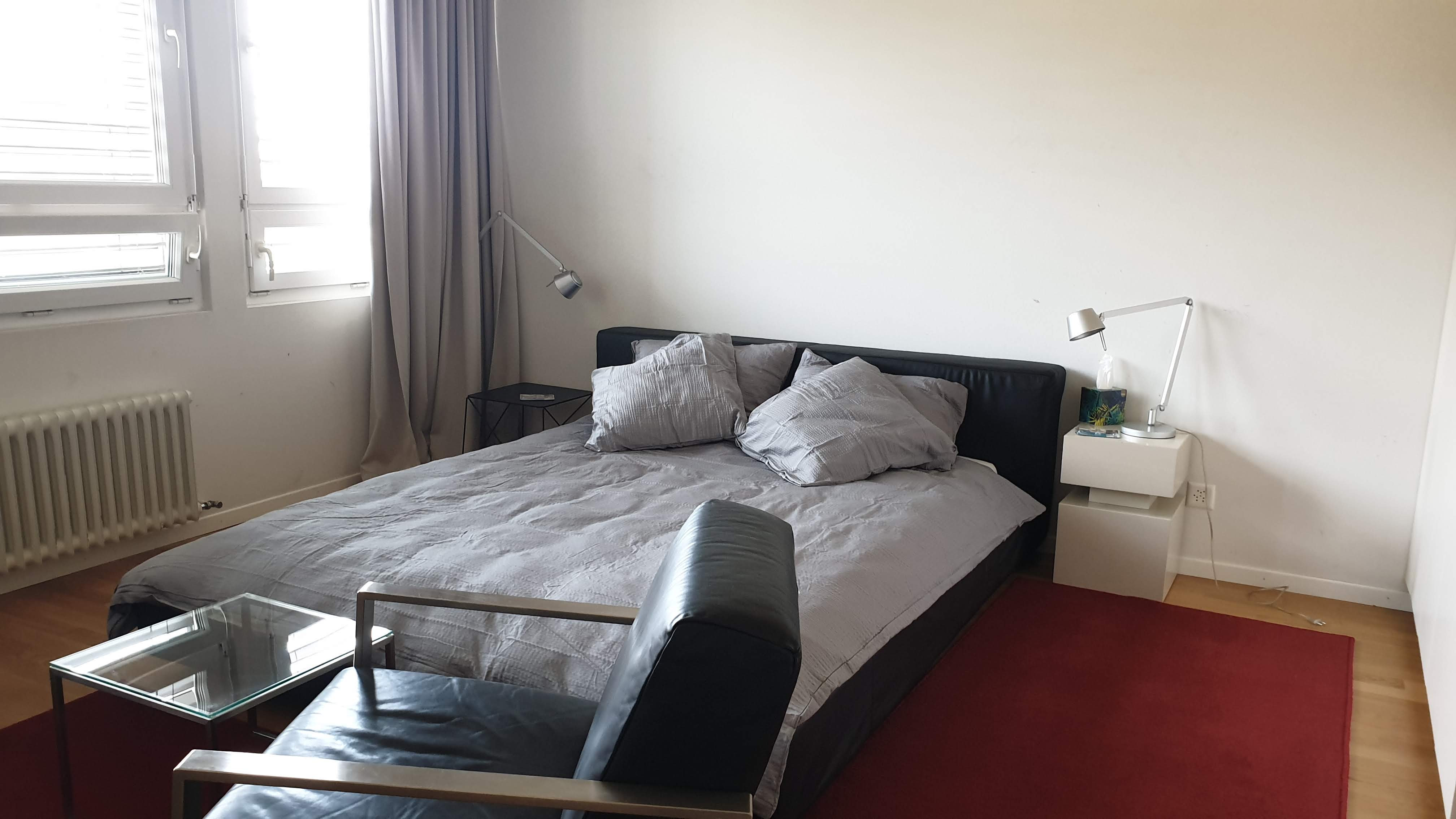 Executive Studio Geneva Heart Apartments for Rent in Genève, Genève