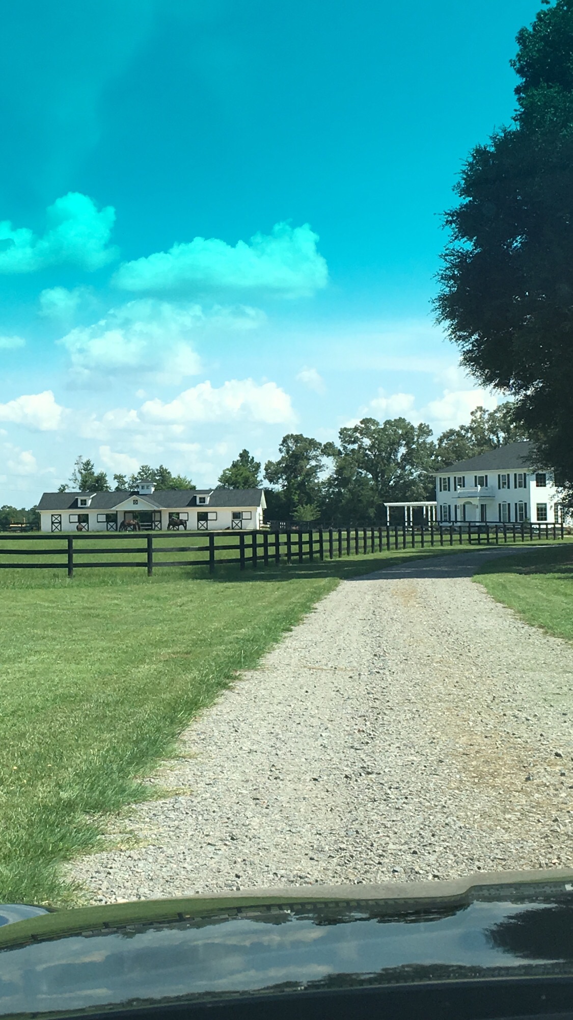 Aiken Horse Farm Barn Apt Bring Horse! Pickleball Farm stays for Rent