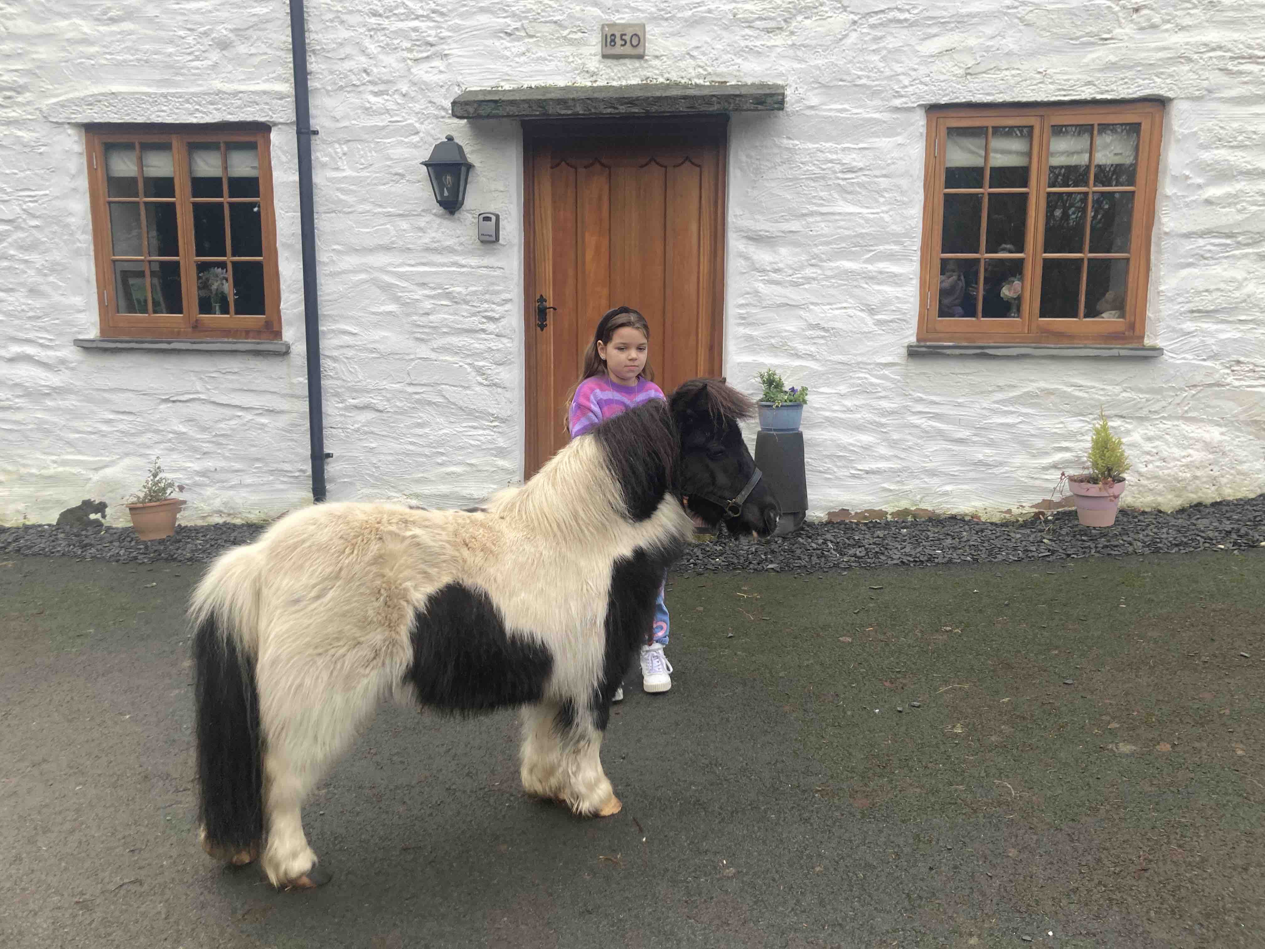 North Wales Farm house, on a working farm