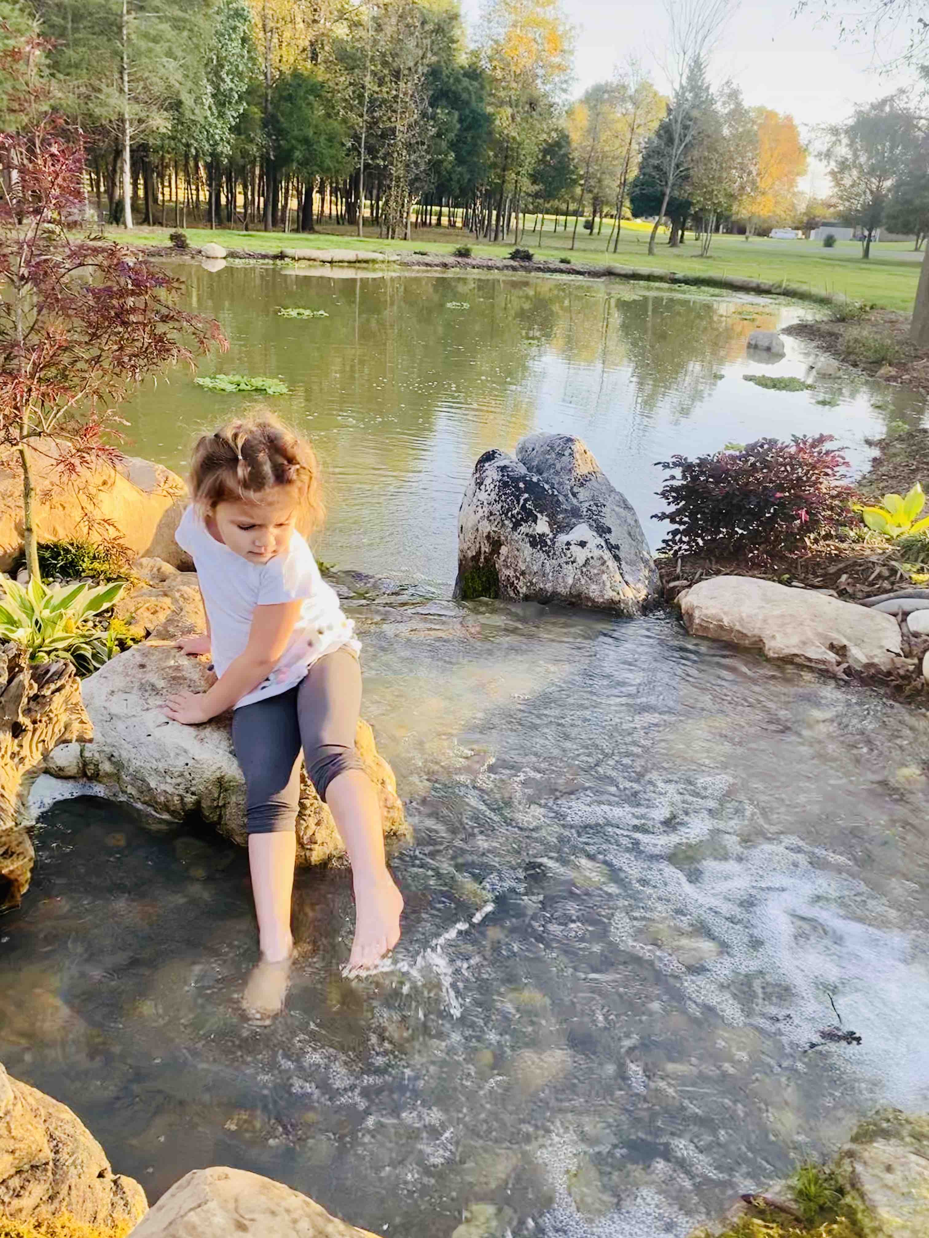 bella pools and outdoor living charlotte on Bella Terra Is A Sanctuary 30 Min From Charlotte Barns For Rent In Fairview North Carolina United States