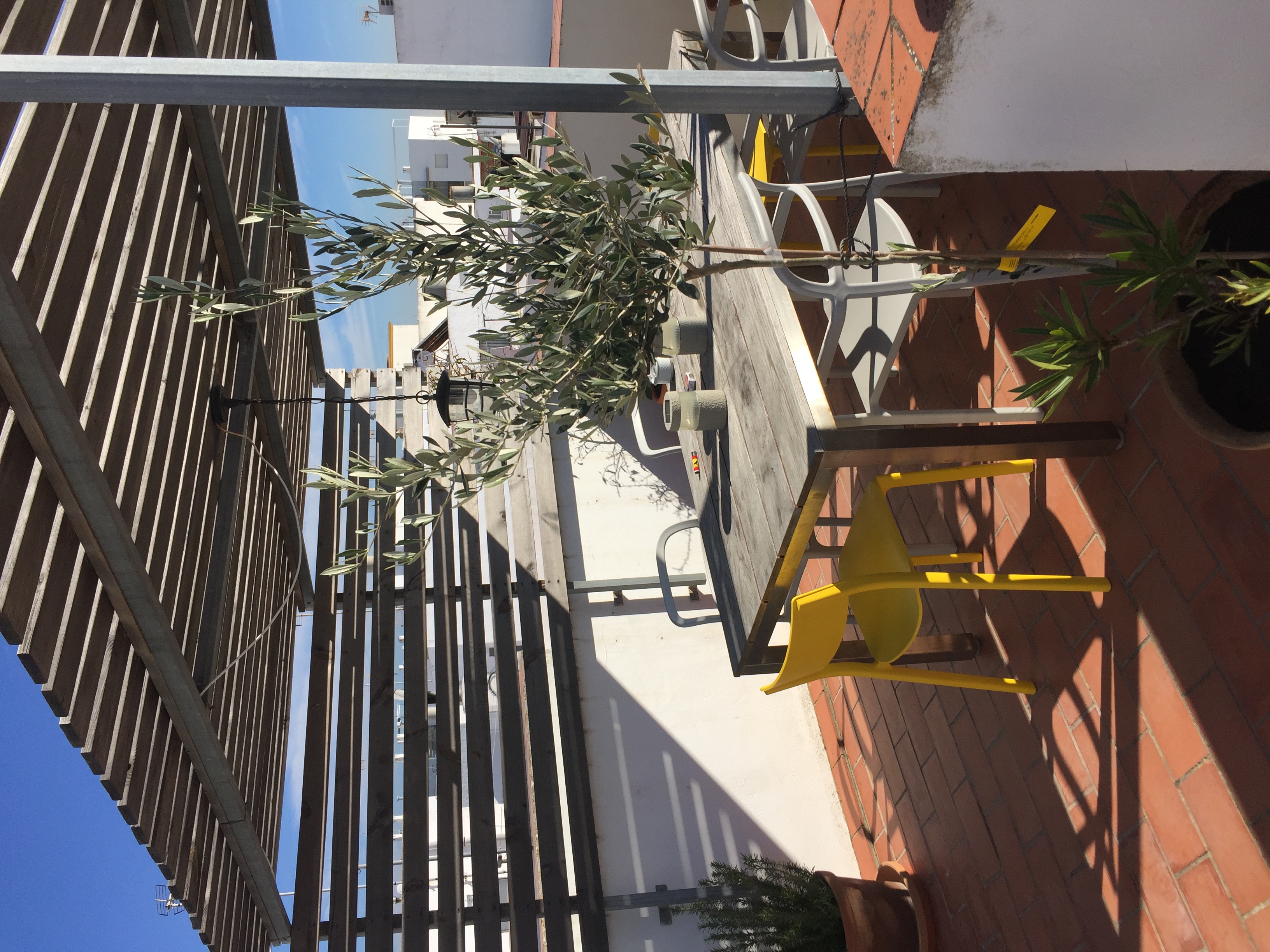 Gunstig Uberwintern In Conil Service Apartments Zur Miete In Conil Andalusien Spanien