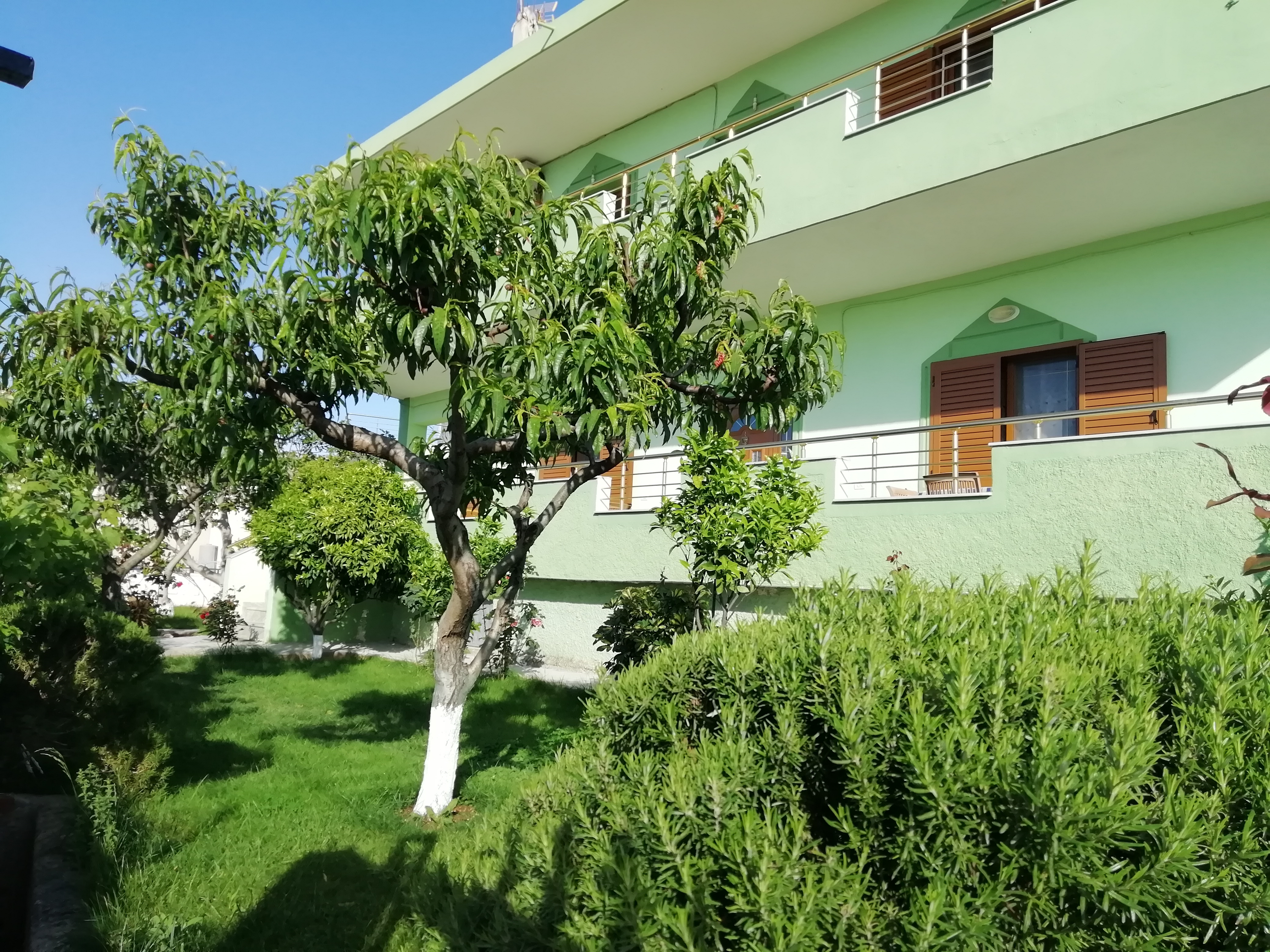 Apartment with Sea View (1)