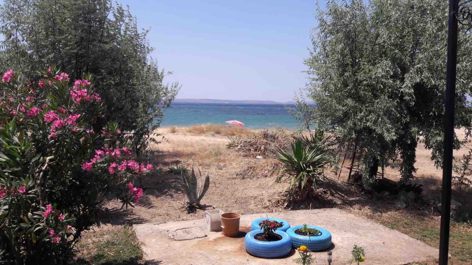 Geyikli Sahilde Denize Sıfır Ev Dalyan şehrinde Kiralık Evler