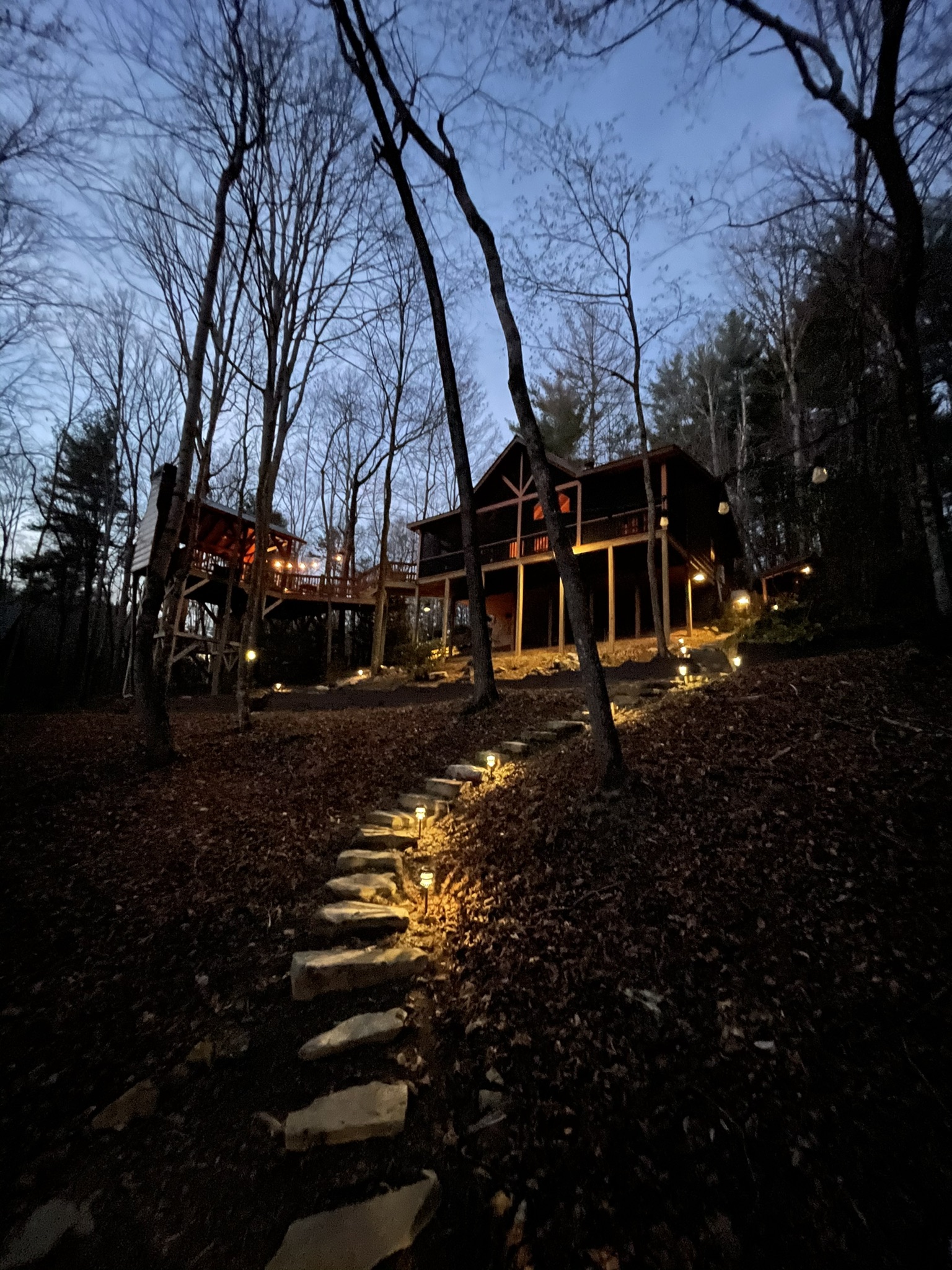 The Blissful Bear Cabin Cabins for Rent in Ellijay, United