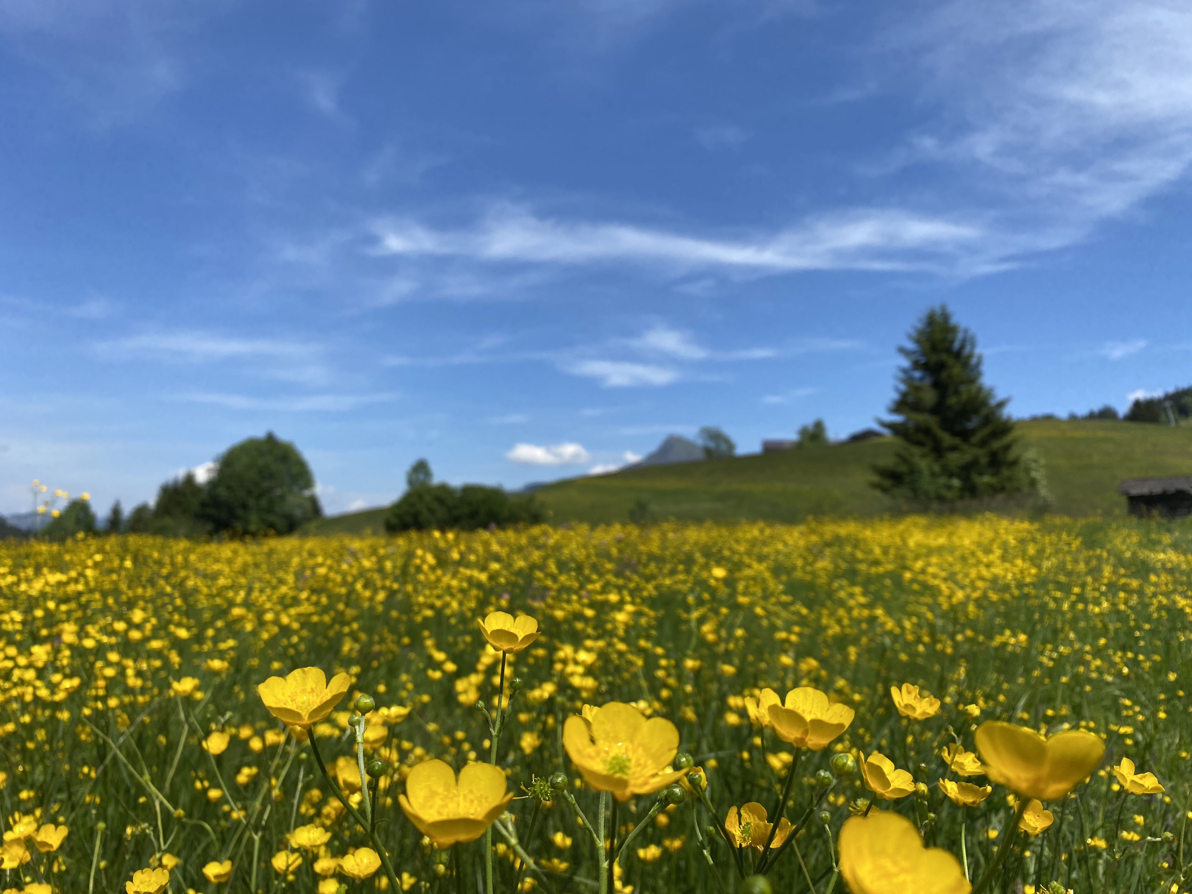 Stubenberg meine stadt bekanntschaften. Admont kurse fr singles. Maria buch-feistritz neue bekanntschaften. Kirchberg in tirol frhstckstreffen fr frauen. Partnervermittlung agentur aus gtzendorf an der leitha