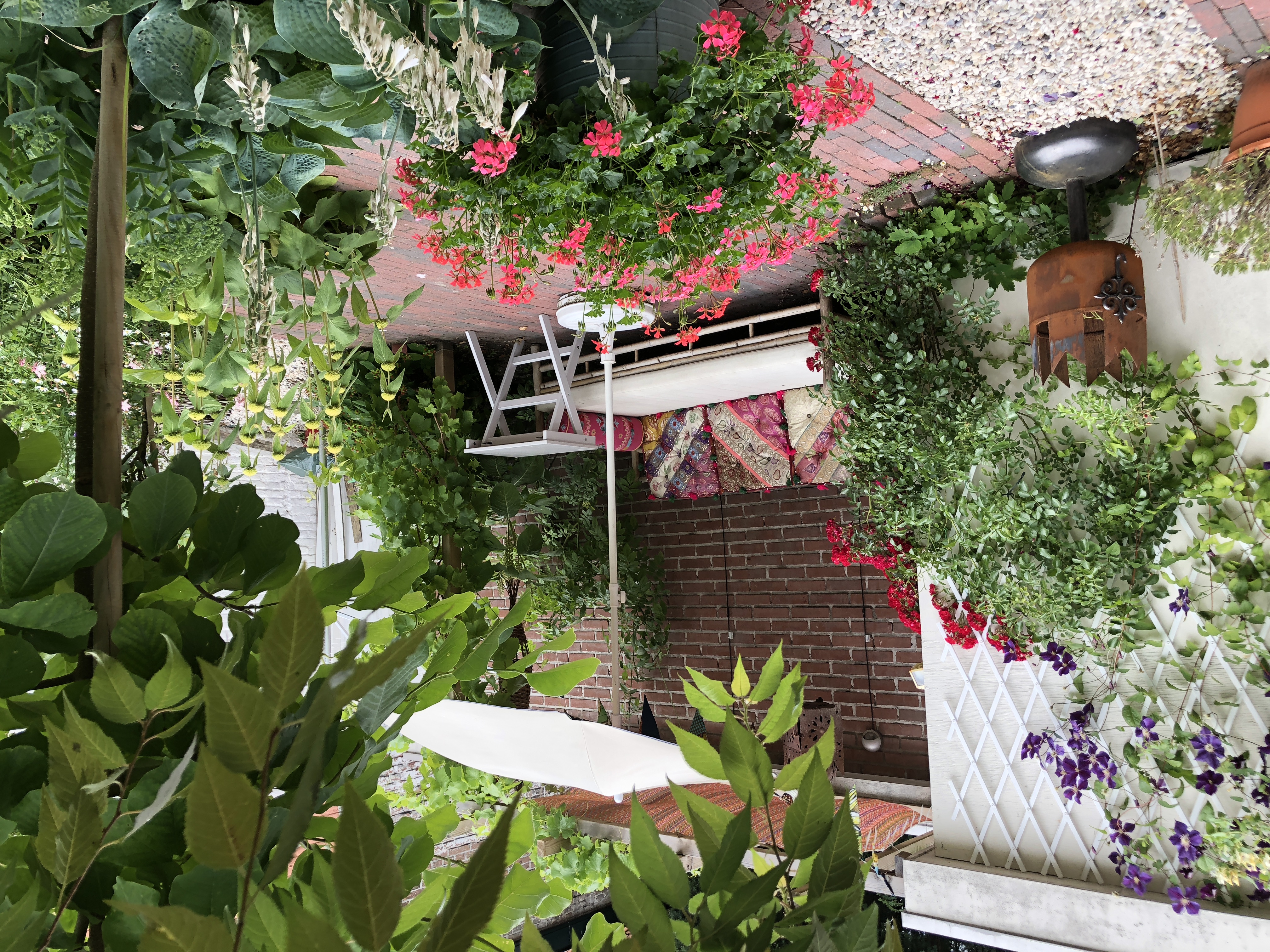 apartment with beautiful garden, centrally located — The Hague stay