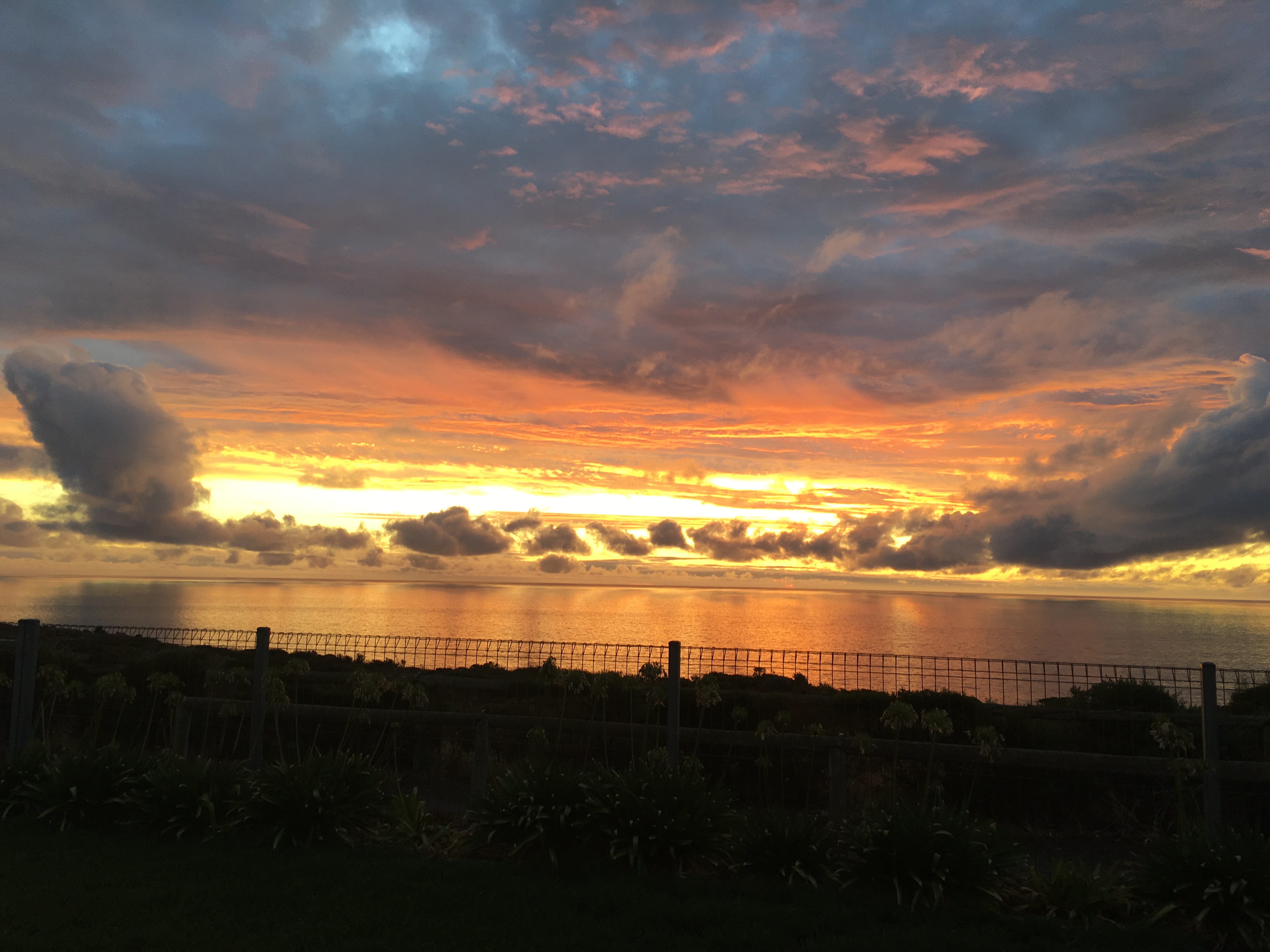 Moana Sunsets Beach House Ocean Views (216guests) Houses for Rent in