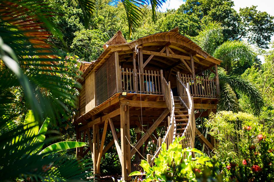 tree house in West Indies Cottage