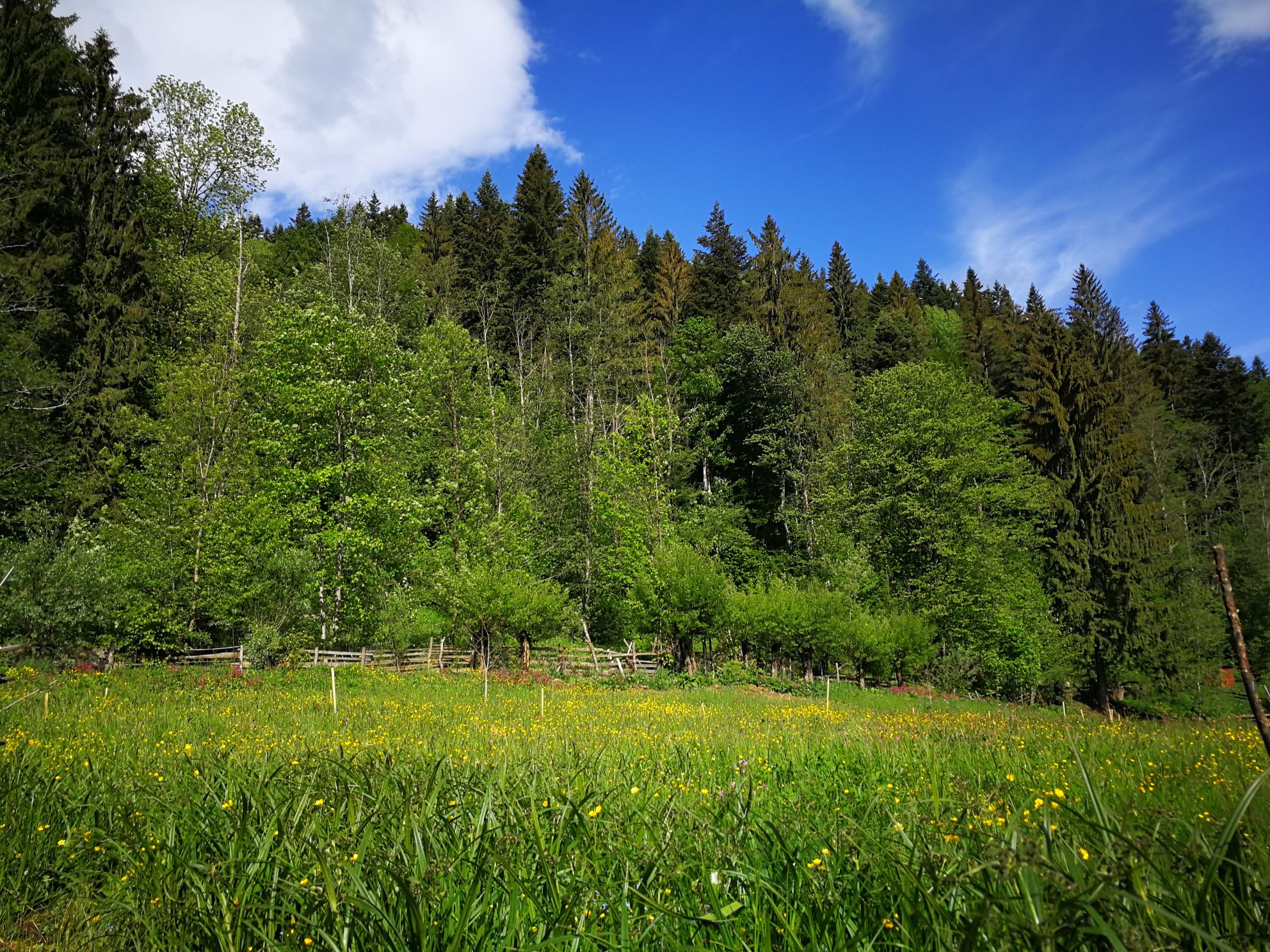Cabana La Bunici - Cabins for Rent in Brateș, Județul ...
