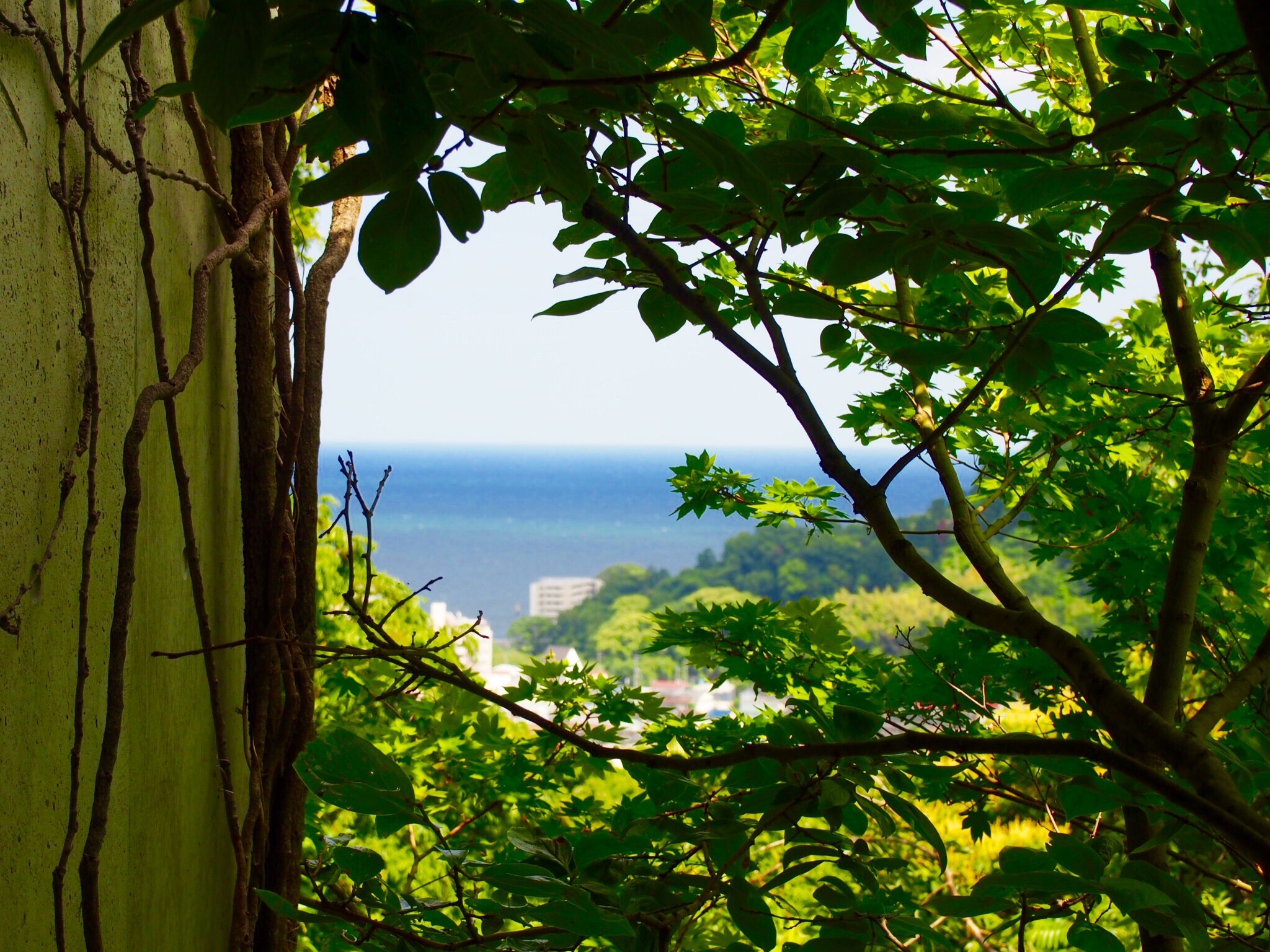 海の見える別荘 Villa With View Of The Sea Apartments For Rent In Yugawara Machi Kanagawa Ken Japan 海の見える別荘 Villa With View Of The Sea Apartments For Rent In Yugawara Machi Kanagawa Ken Japan