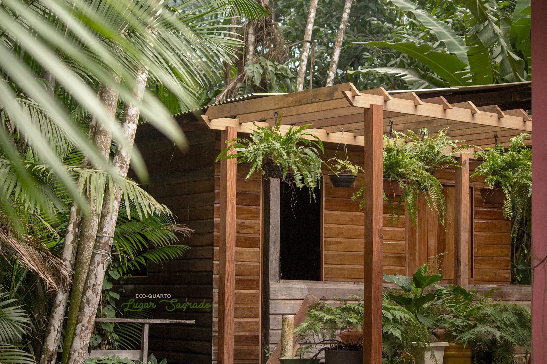 Ecoroom tranquility among elegant palms!