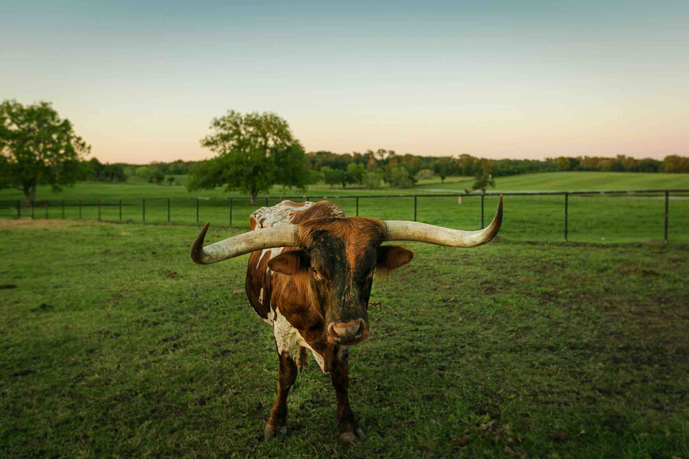 Rockin Star Ranch 150 Acres To Explore And Enjoy Farm Stays For Rent In Brenham Texas United States Rockin Star Ranch 150 Acres To Explore And Enjoy Farm Stays For Rent In Brenham Texas United States