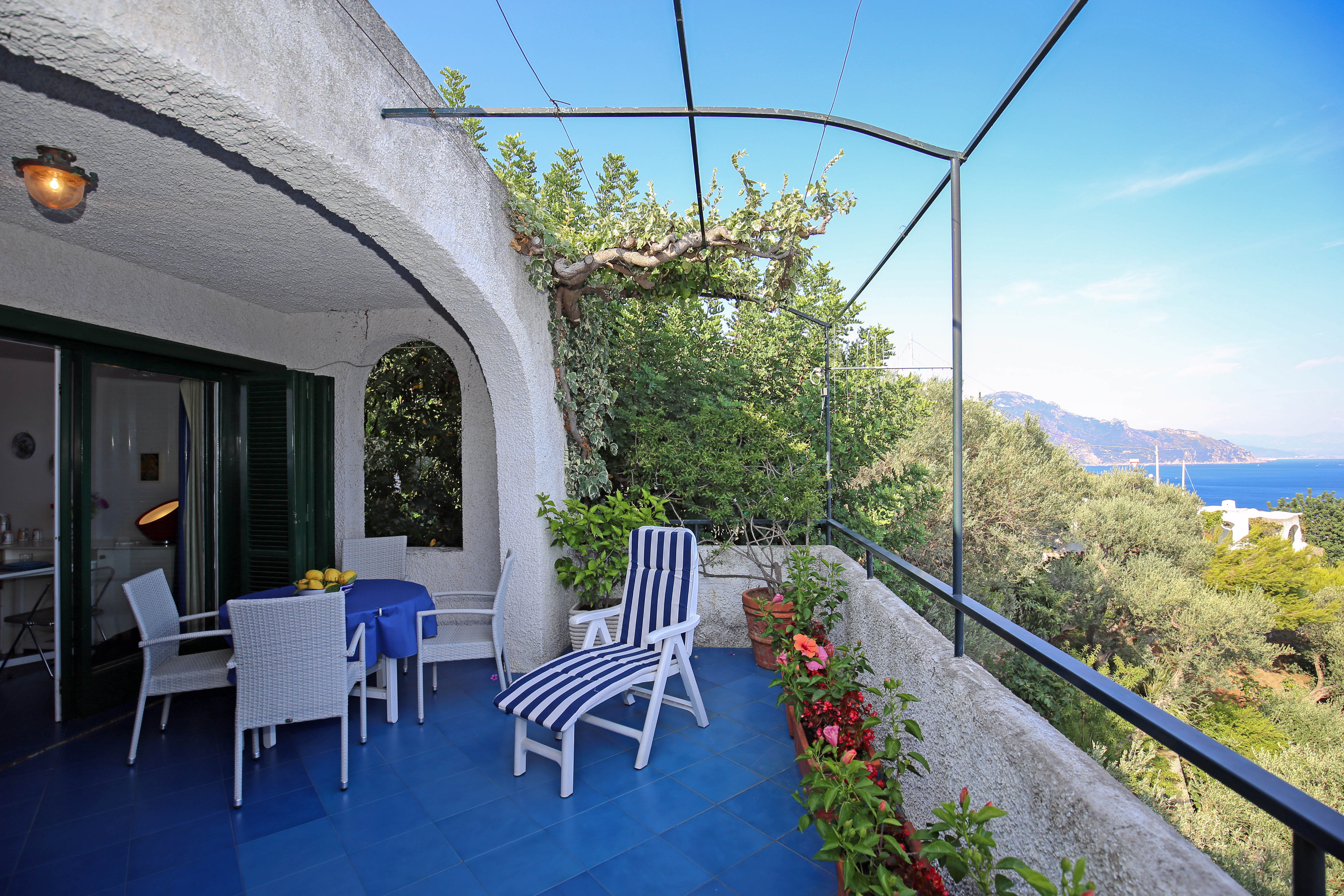 The Terrace