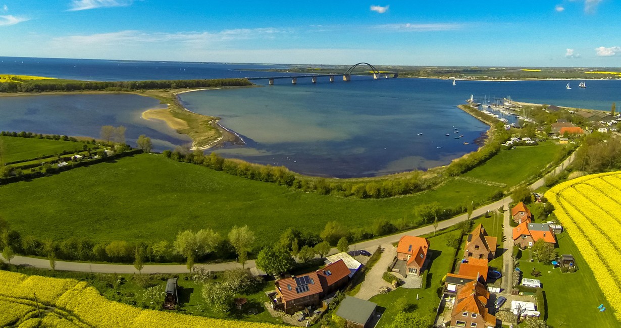 Our beach mussel - holiday by the sea