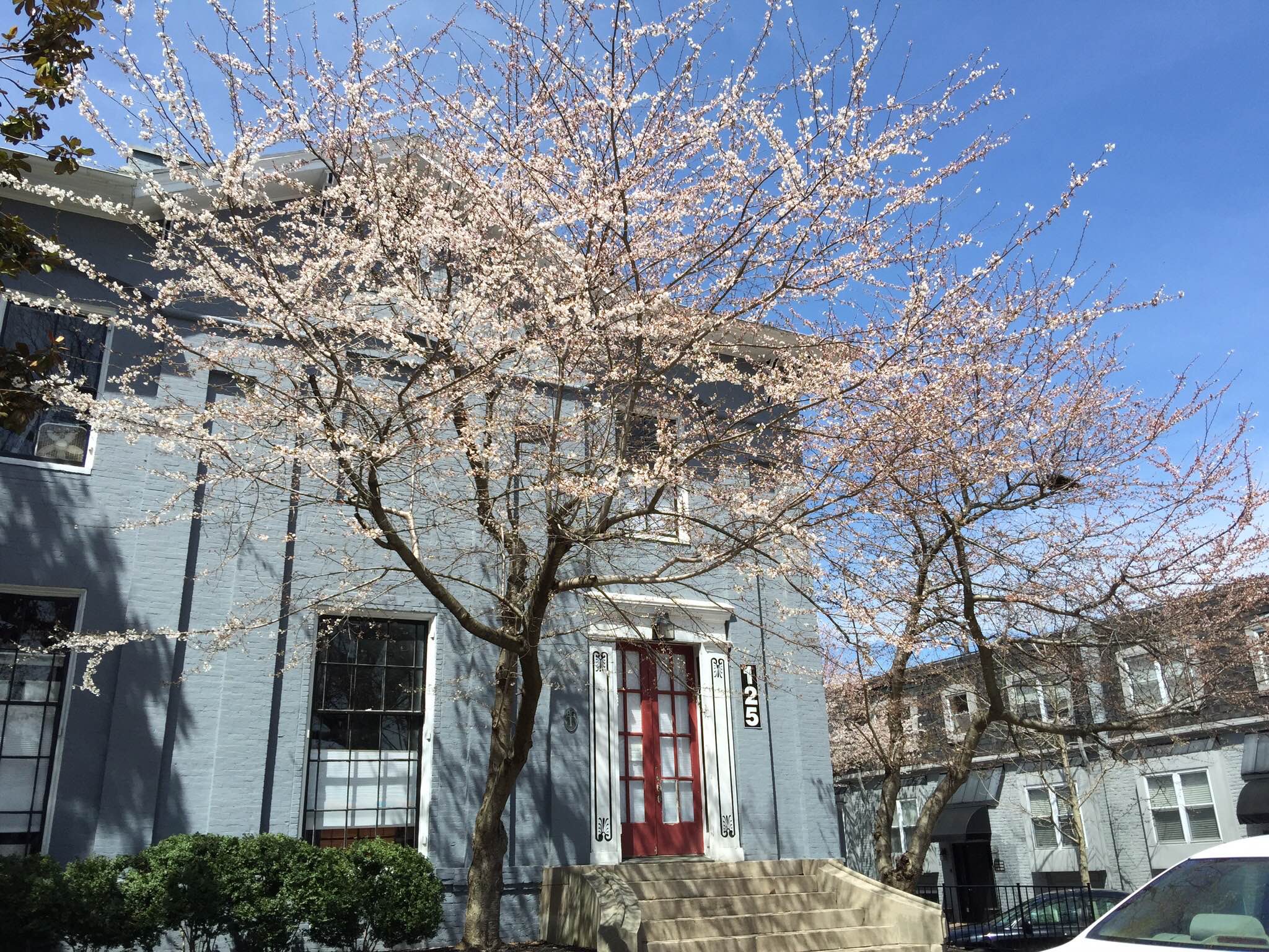 Historic Clay Villa Apt 1202 Apartments for Rent in Lexington