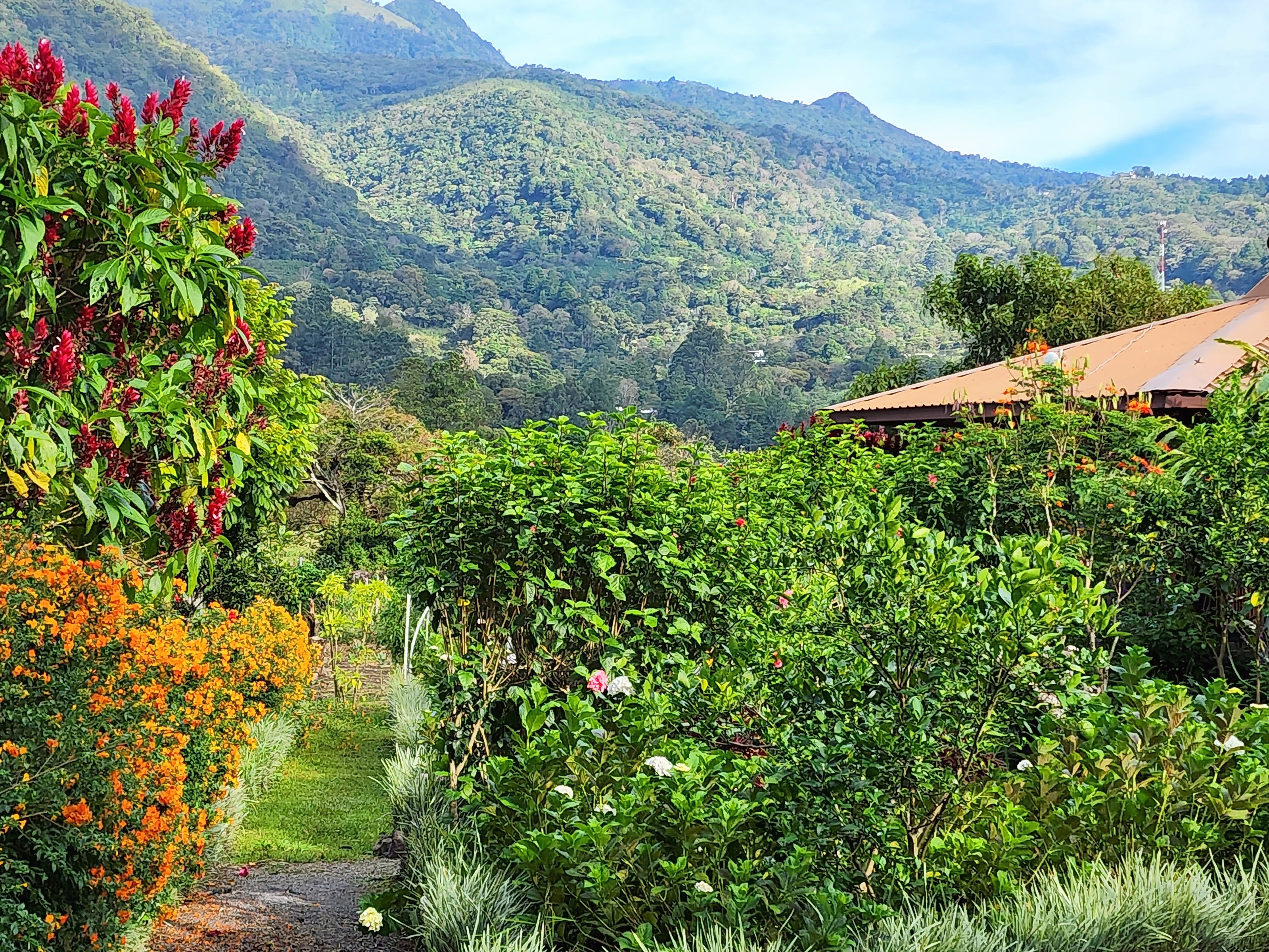 Casitas in Butterfly and Honey Farm