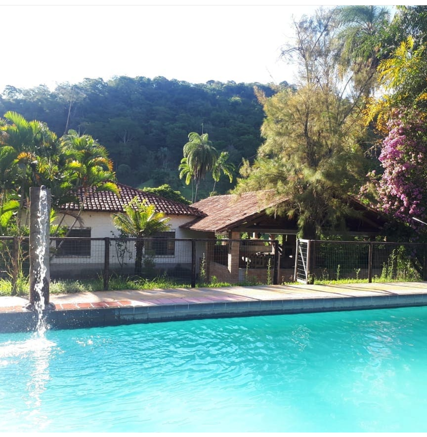 Quinta das Mangueiras: country house with pool