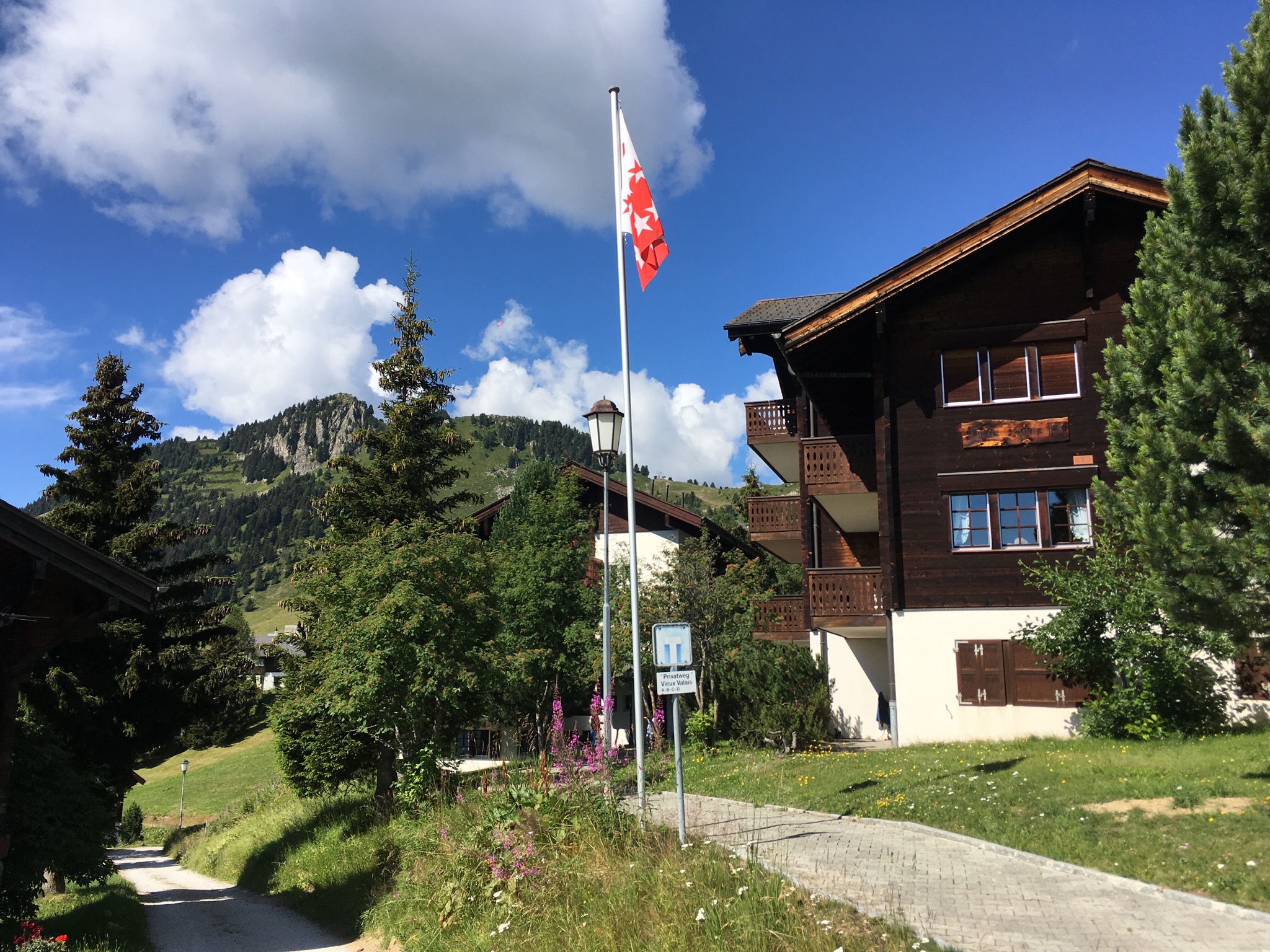 Beautiful flat in Riederalp