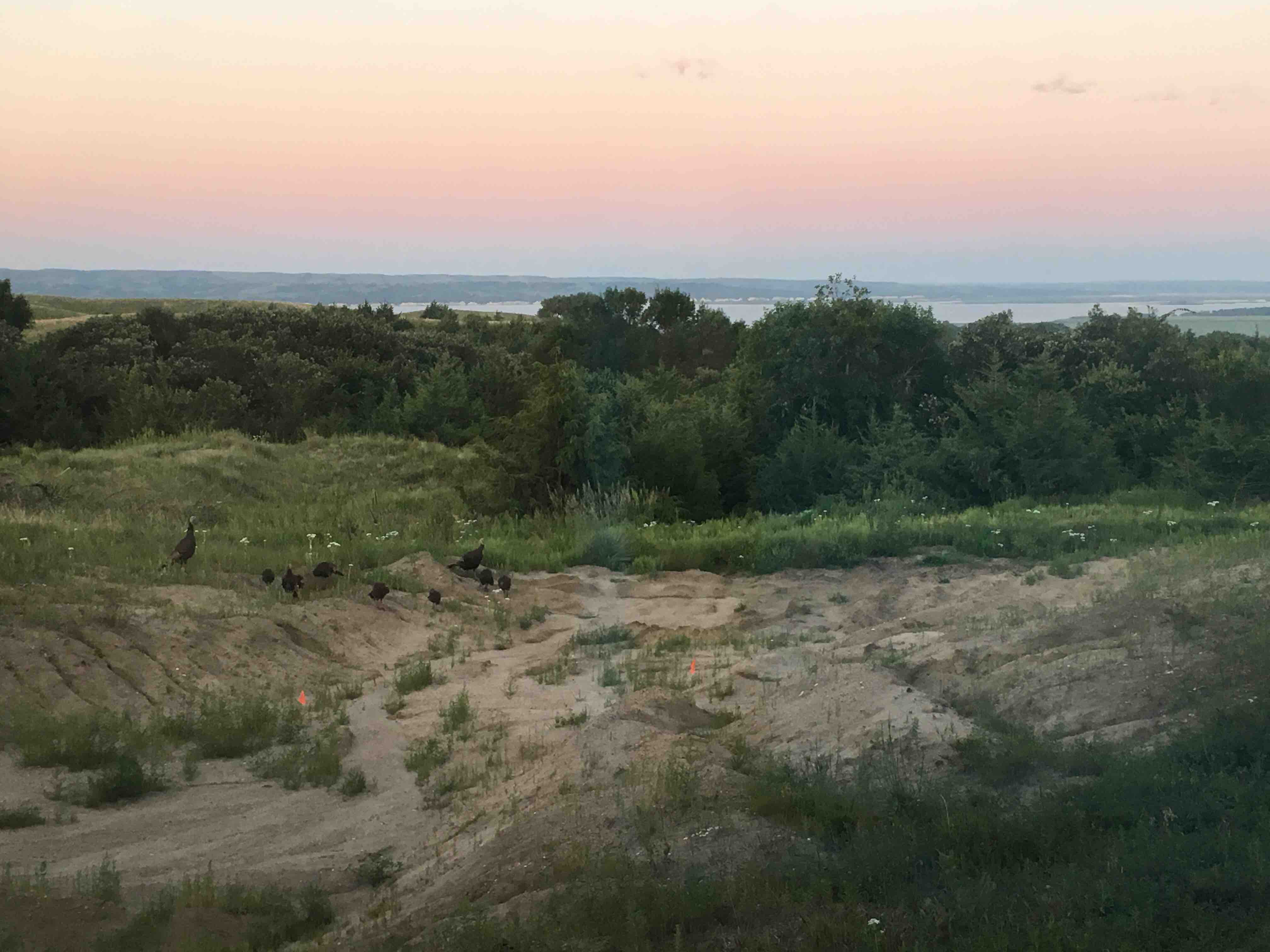 Bed and Breakfast Country Lake House Houses for Rent in Tabor, South