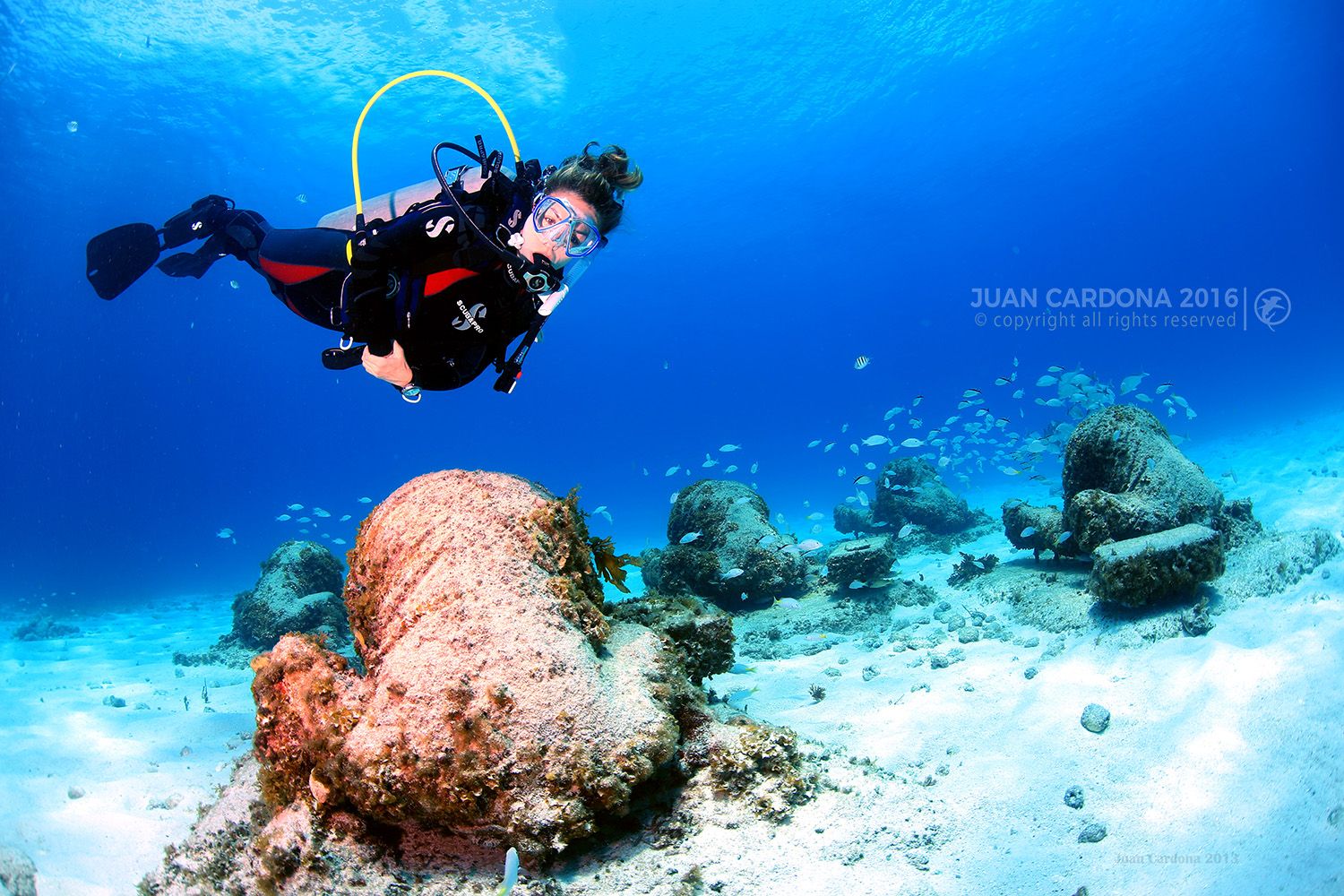 Scuba Diving in Cancun with Photos Airbnb