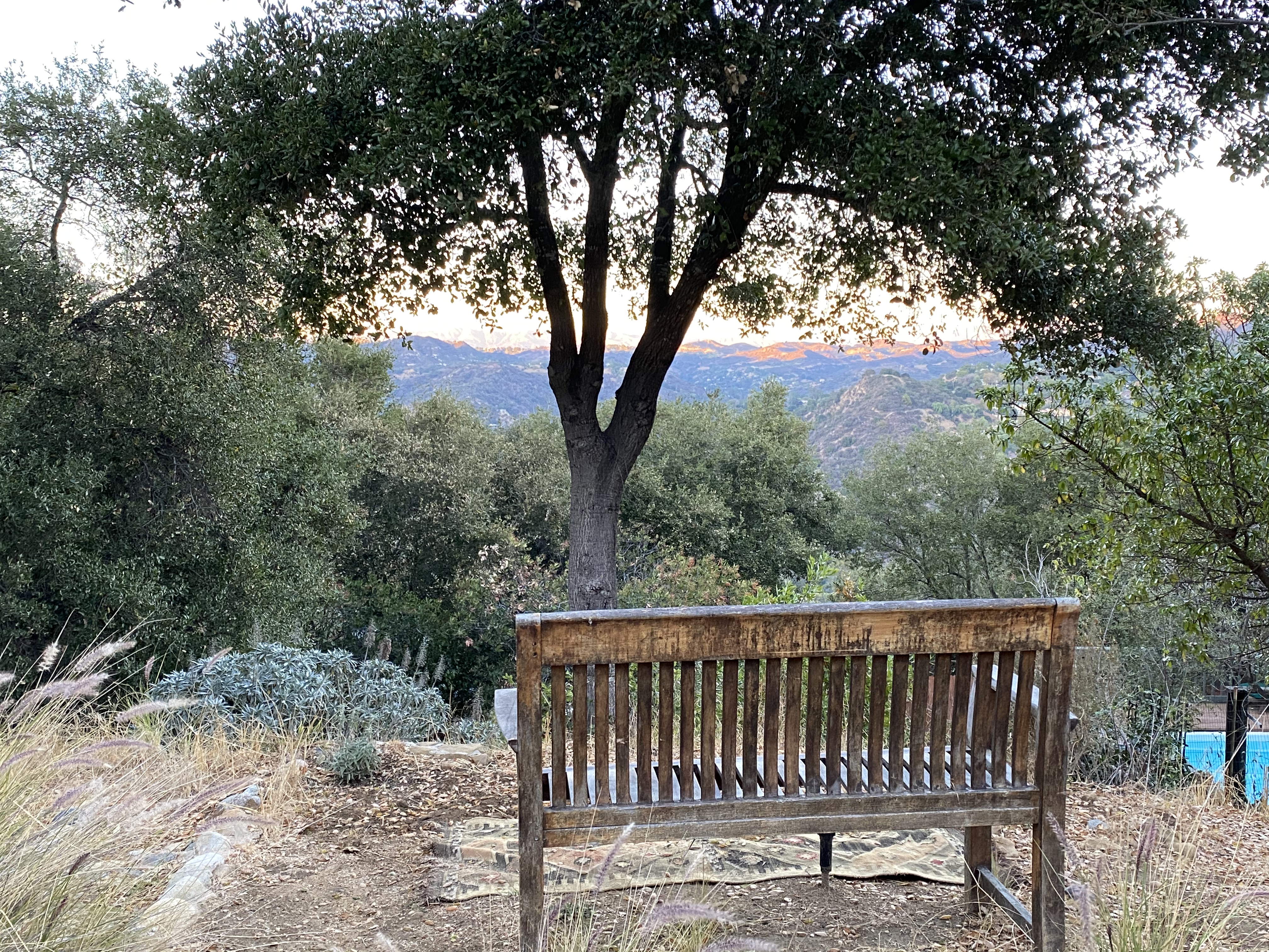 FAIRY RIDGE - AMAZING VIEWS - STEPS TO THE TRAILS