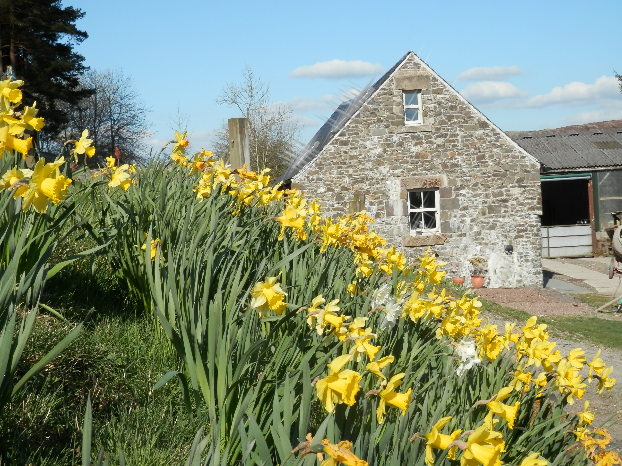 Curlew Cottage and Free Shepherd's Hut Houses for Rent in Scottish