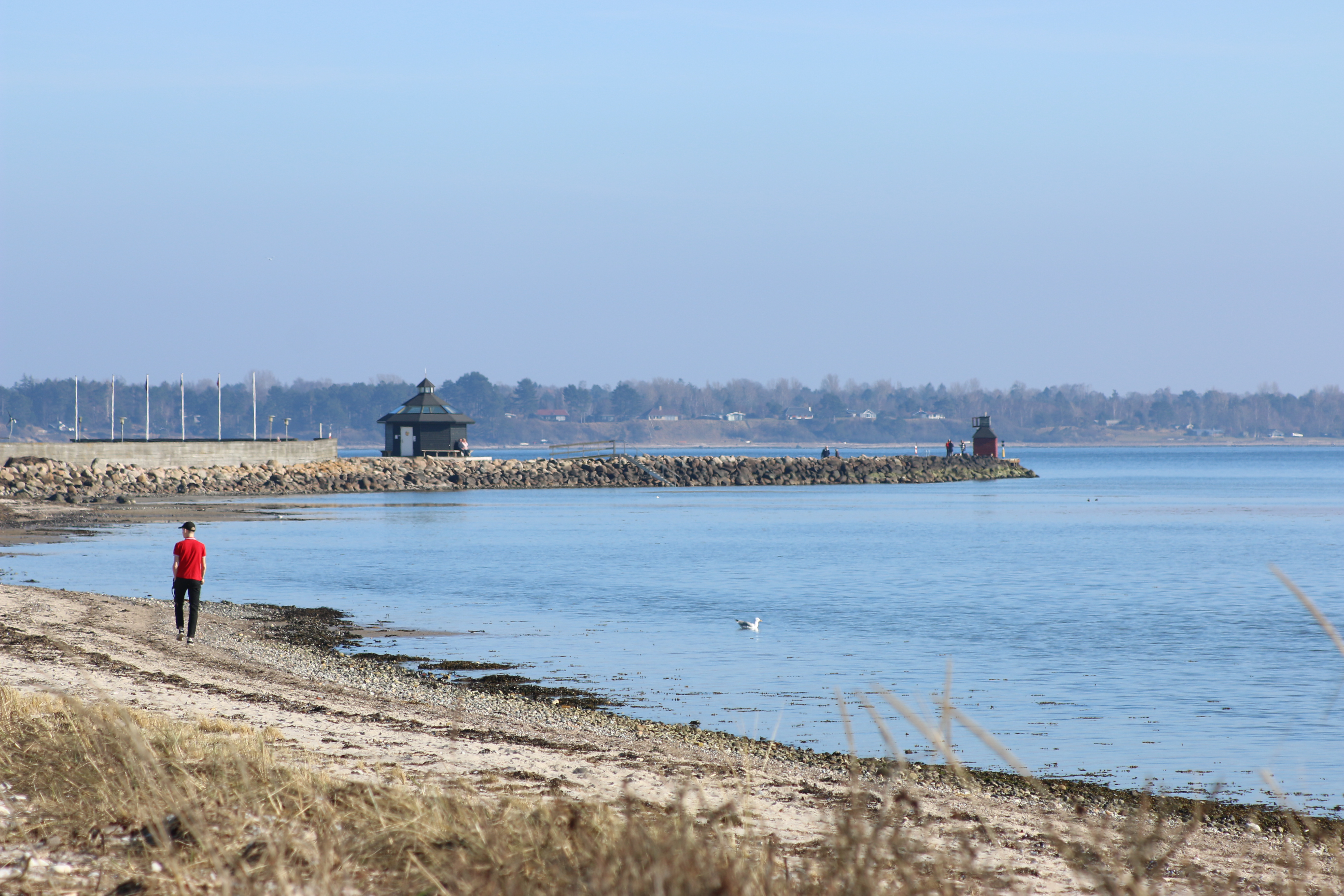 Lyneres Fish House with a View