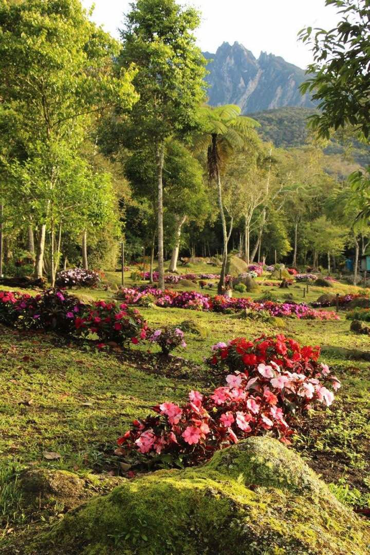 Spring Garden Twin Room Kundasang Mt Kinabalu Cabins For Rent In Kundasang Sabah Malaysia