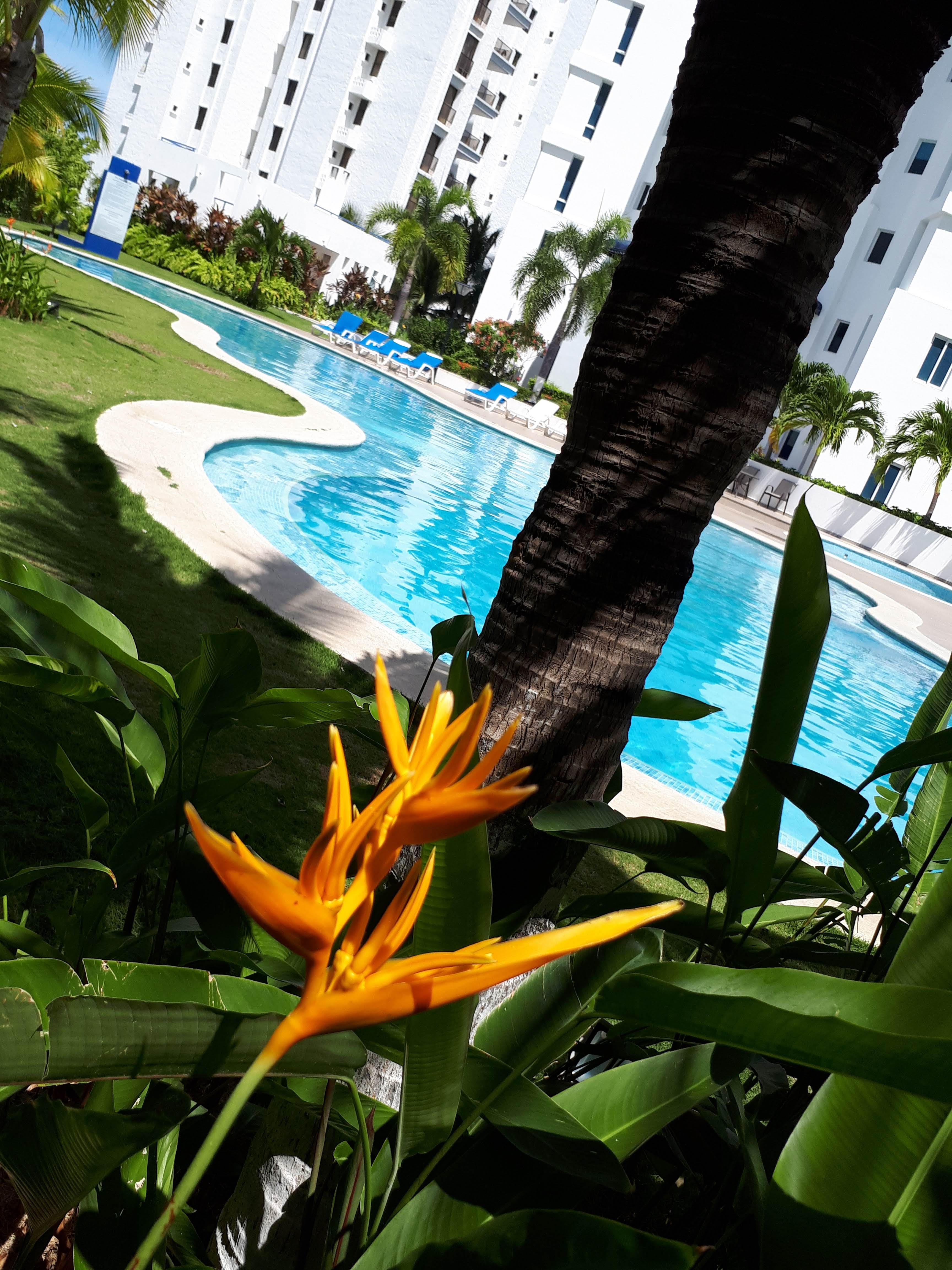 The apartment you are looking for in Playa Blanca, Panama