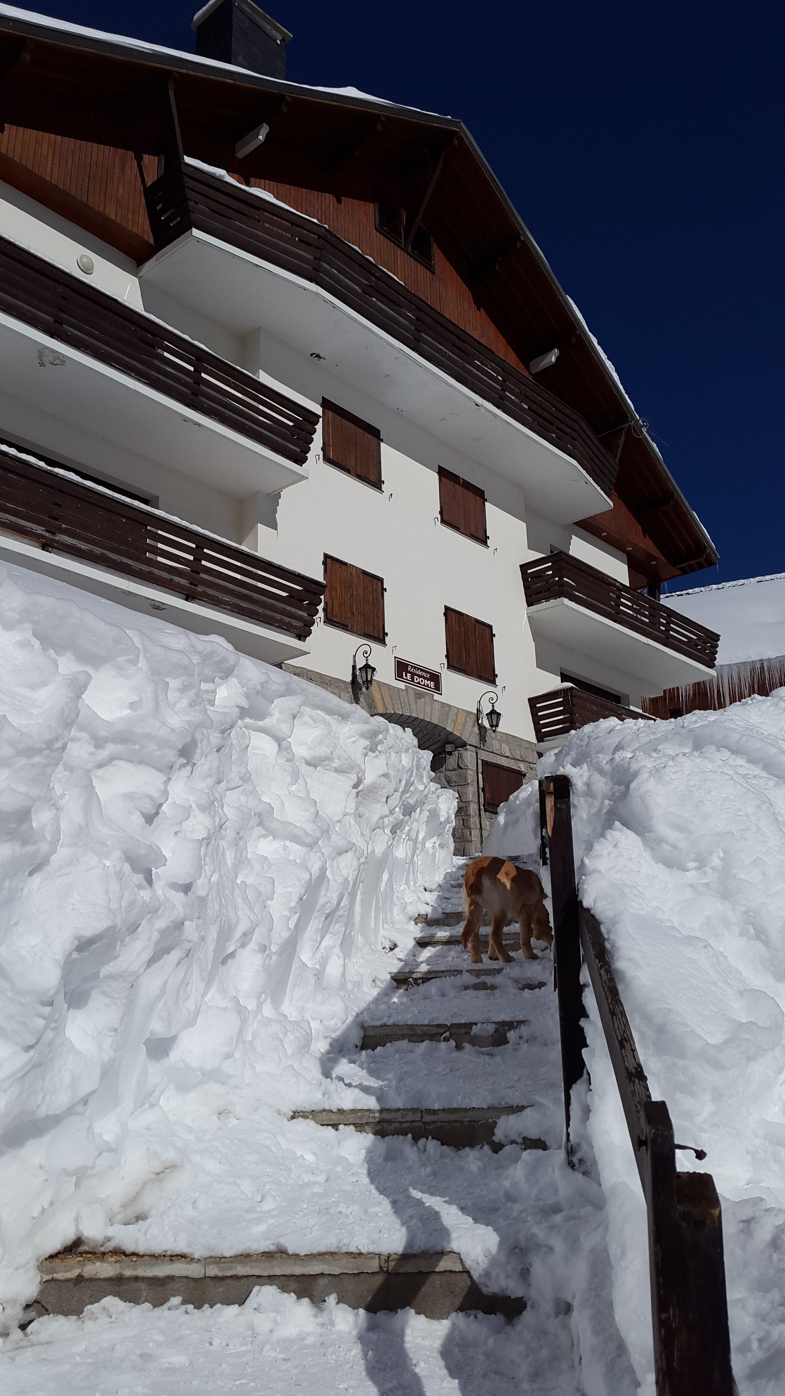 Apartment in chalet in the middle of the resort